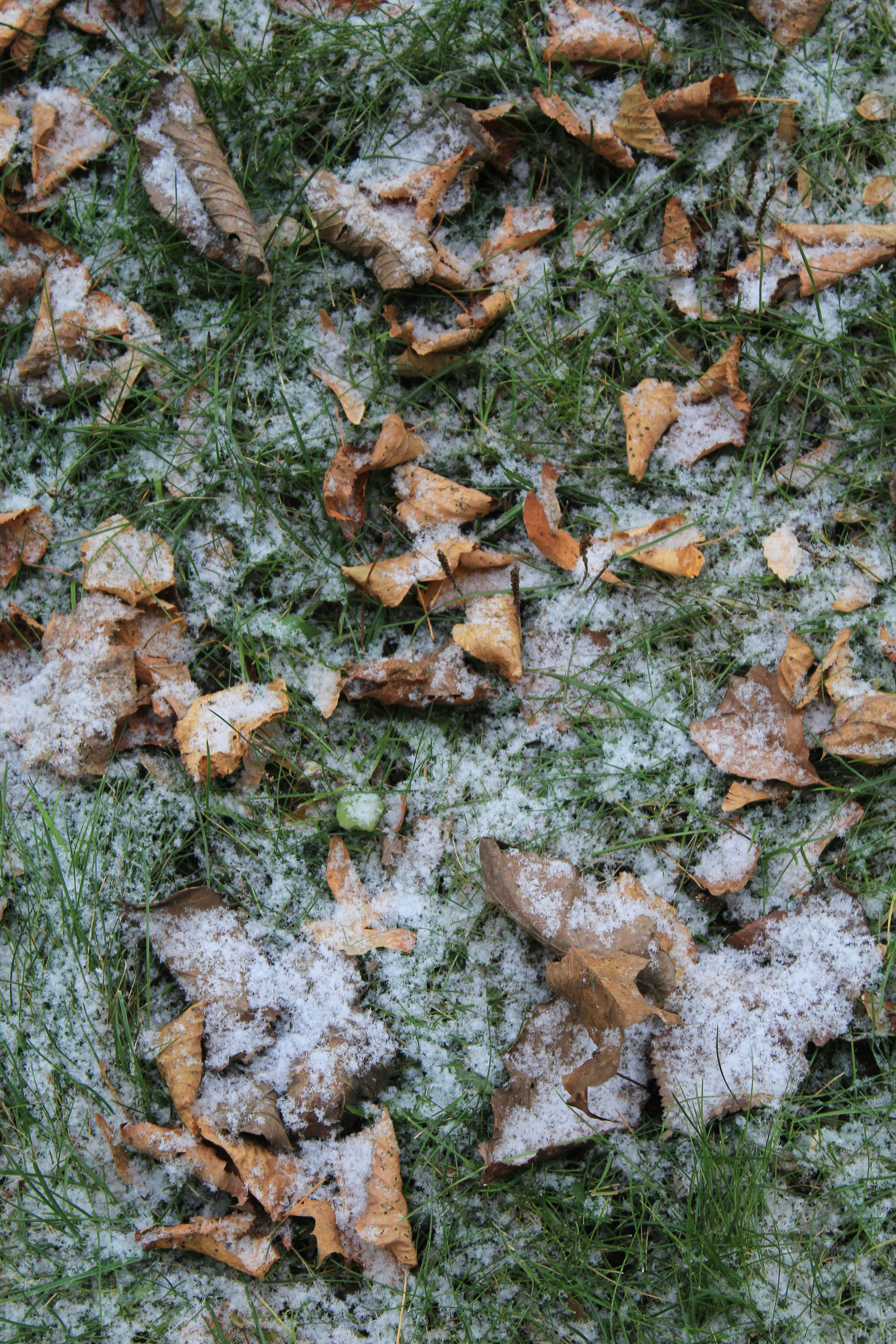 Photo by amirarsalan93