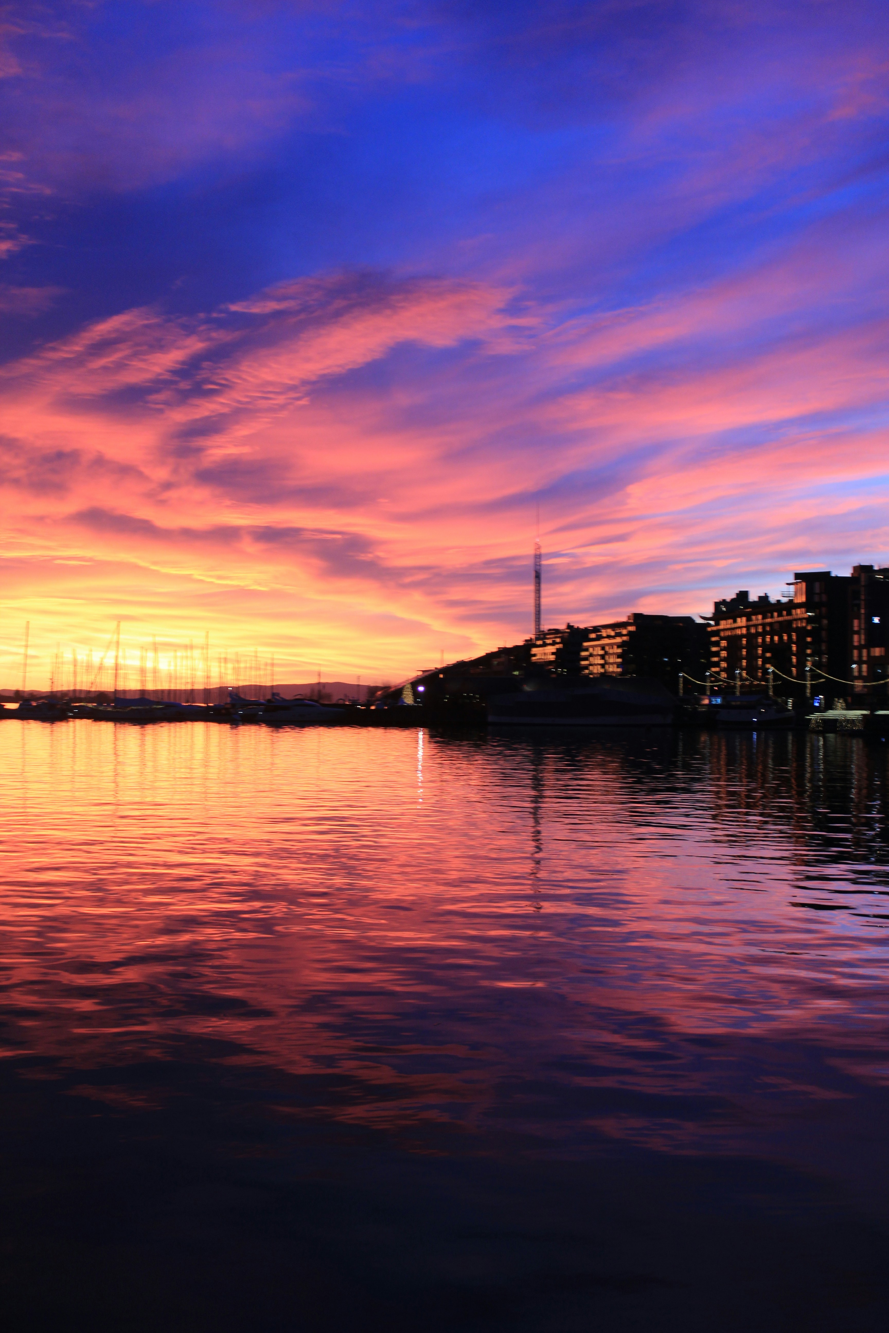 Photo by amirarsalan93