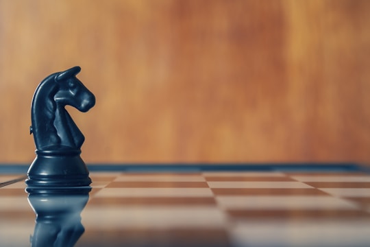 A chess knight stands alone on the chessboard.