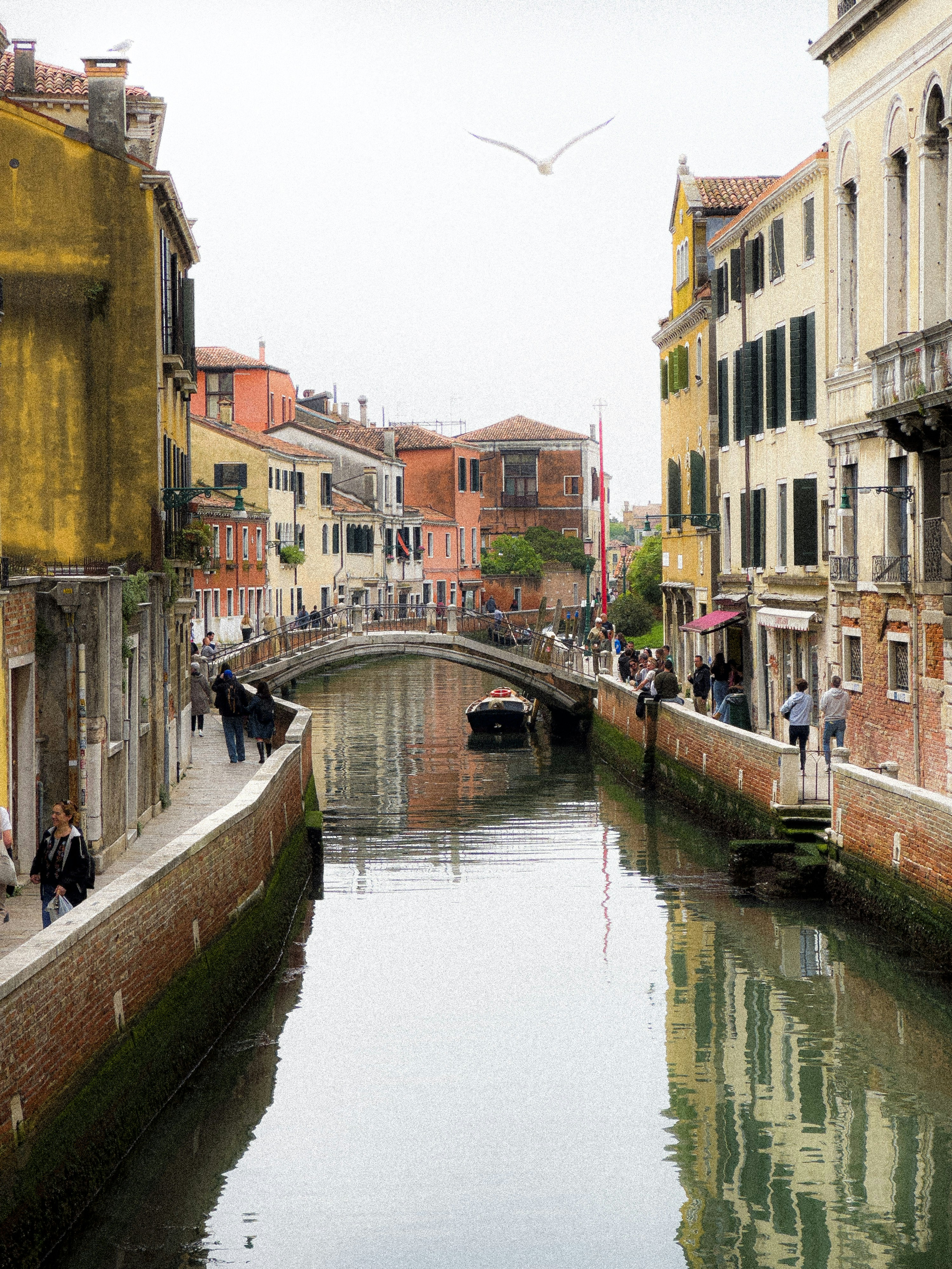 Photo by vitaly_zeenko