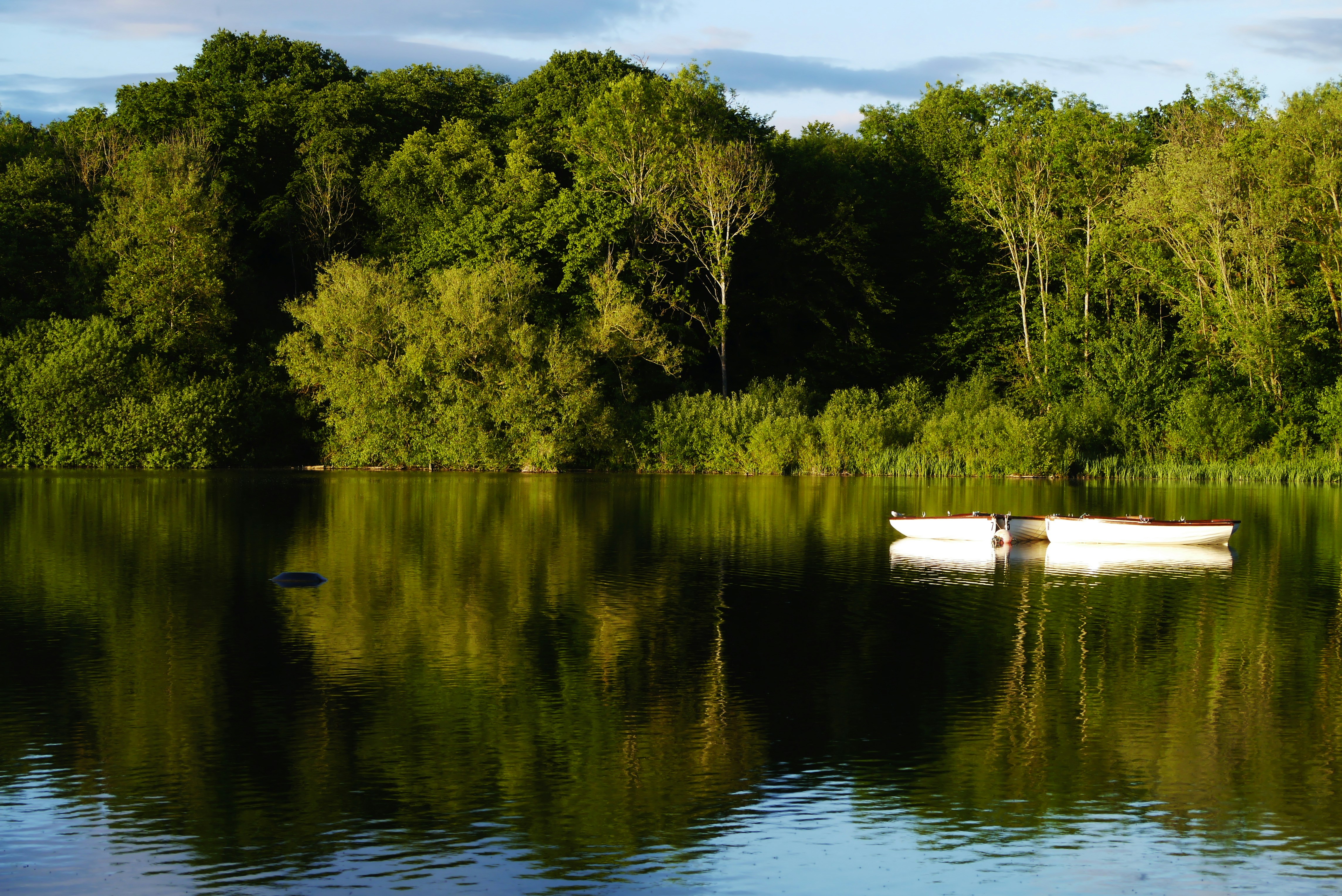 Photo by balmy_sunset