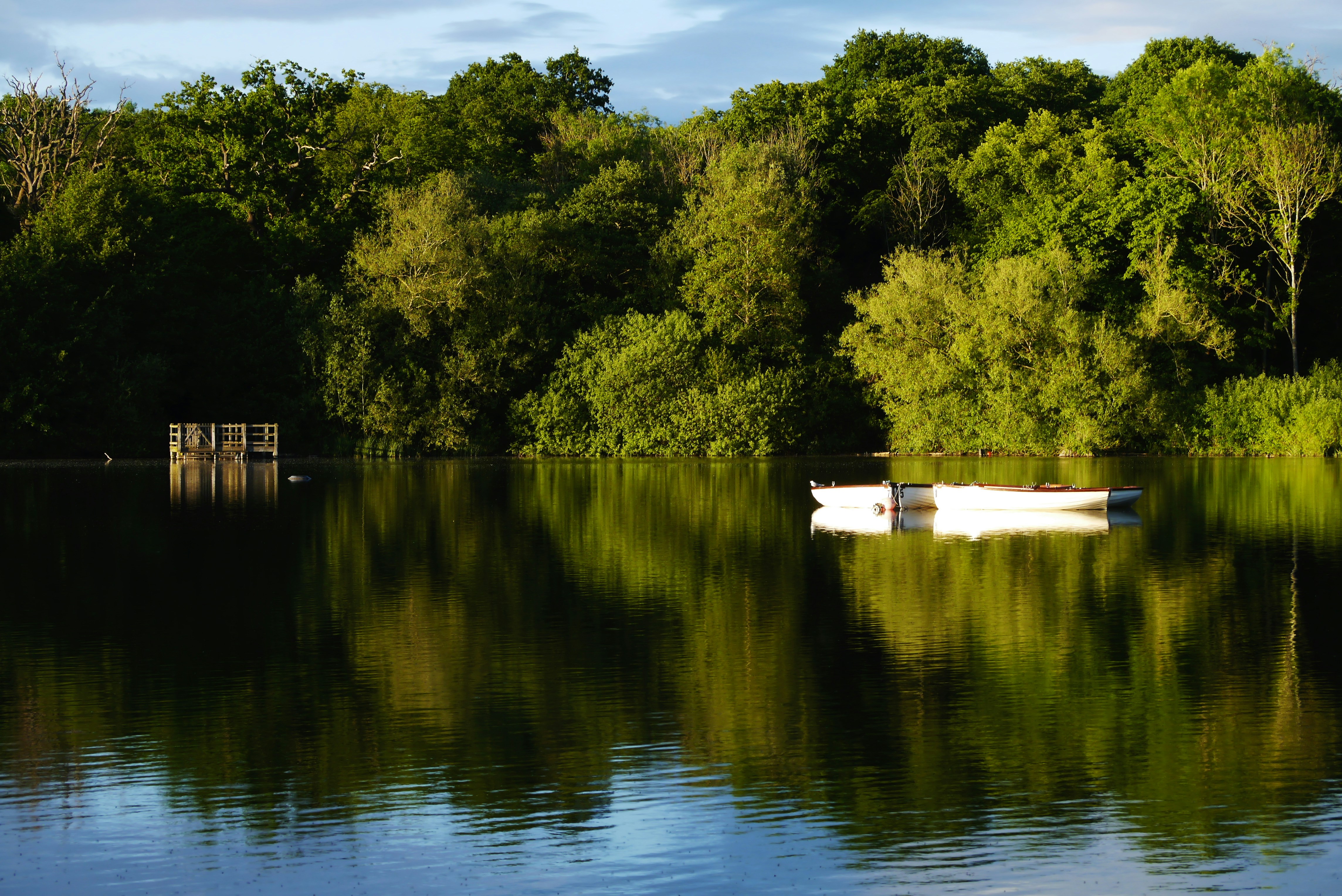 Photo by balmy_sunset