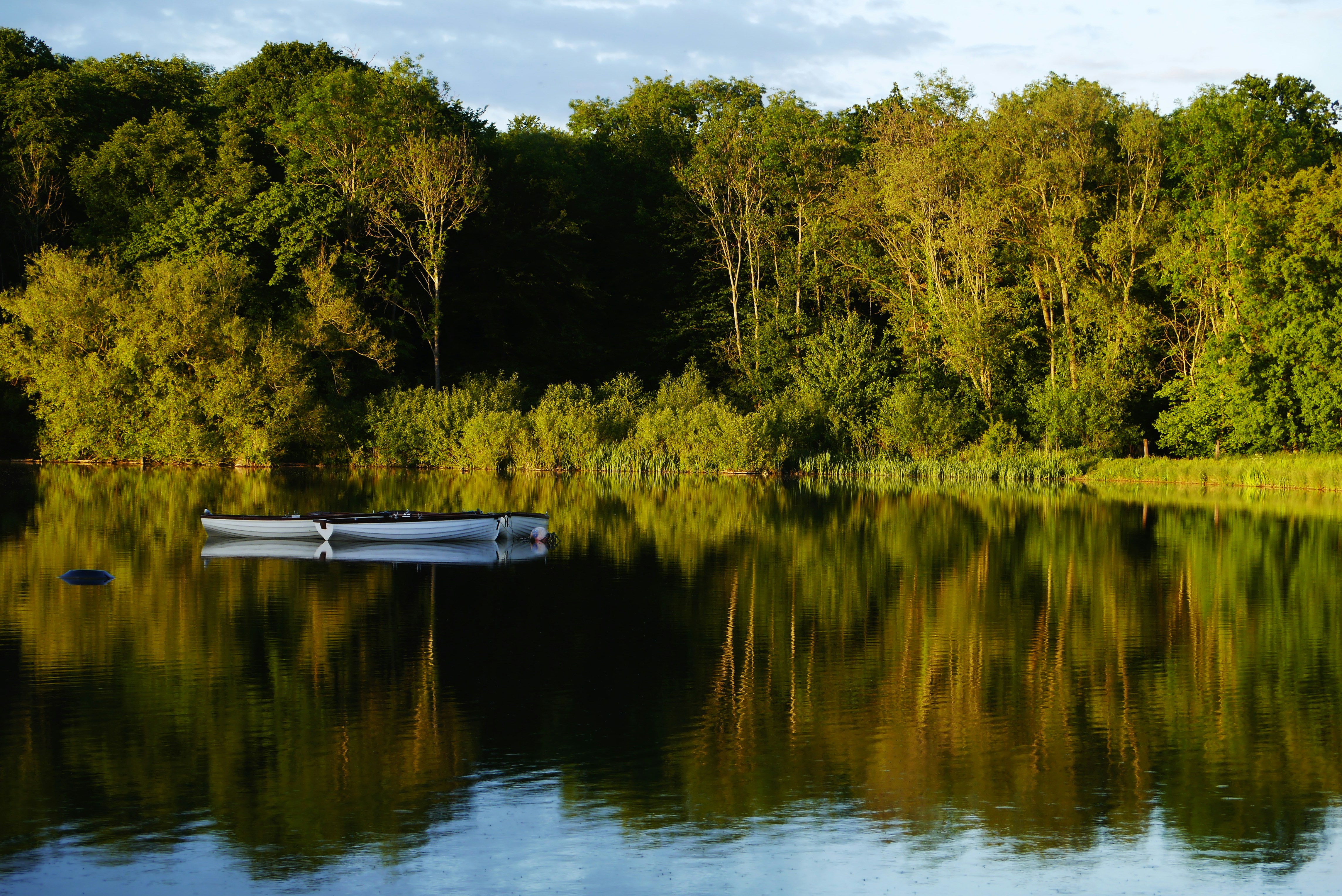 Photo by balmy_sunset