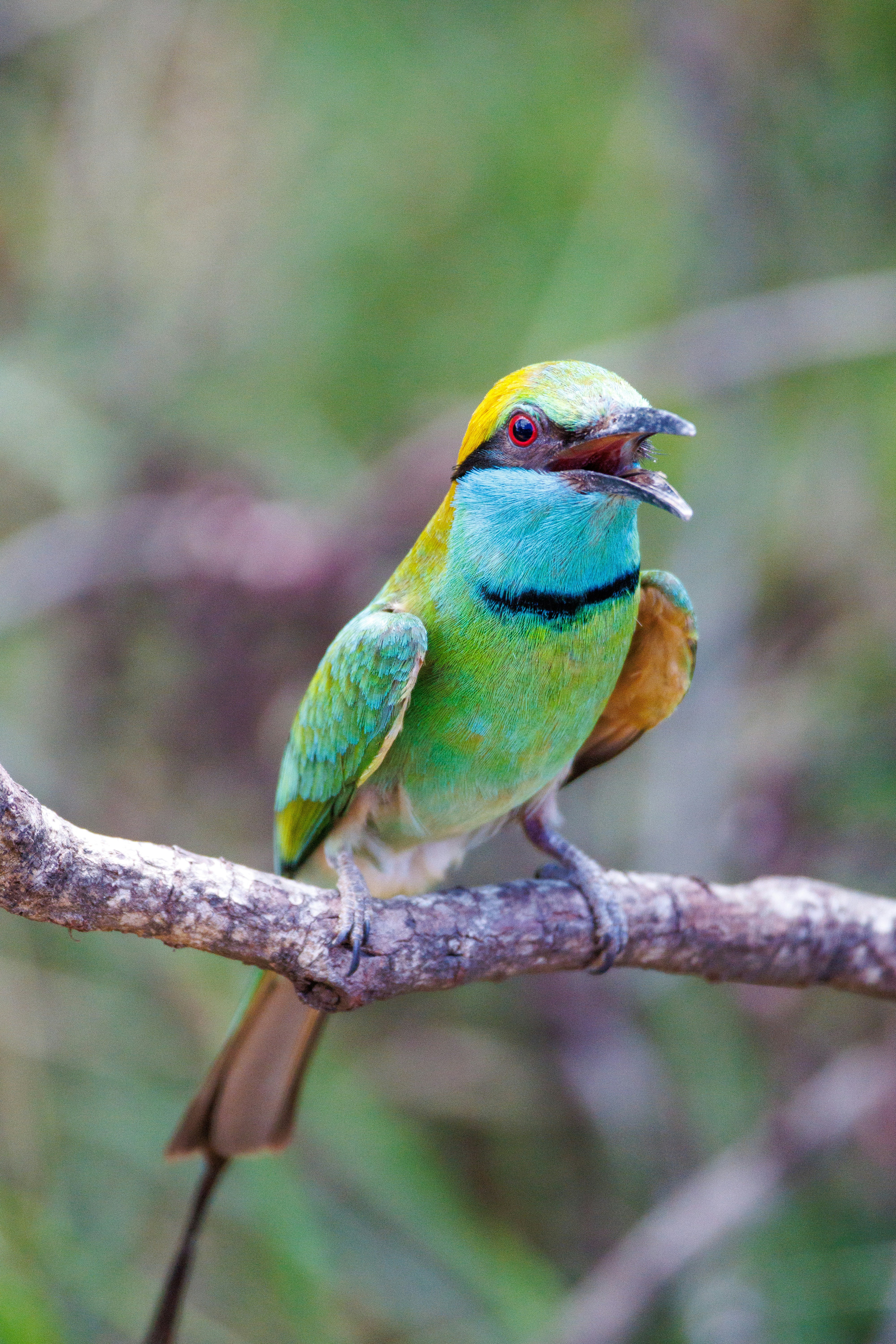 Photo by stockbirken