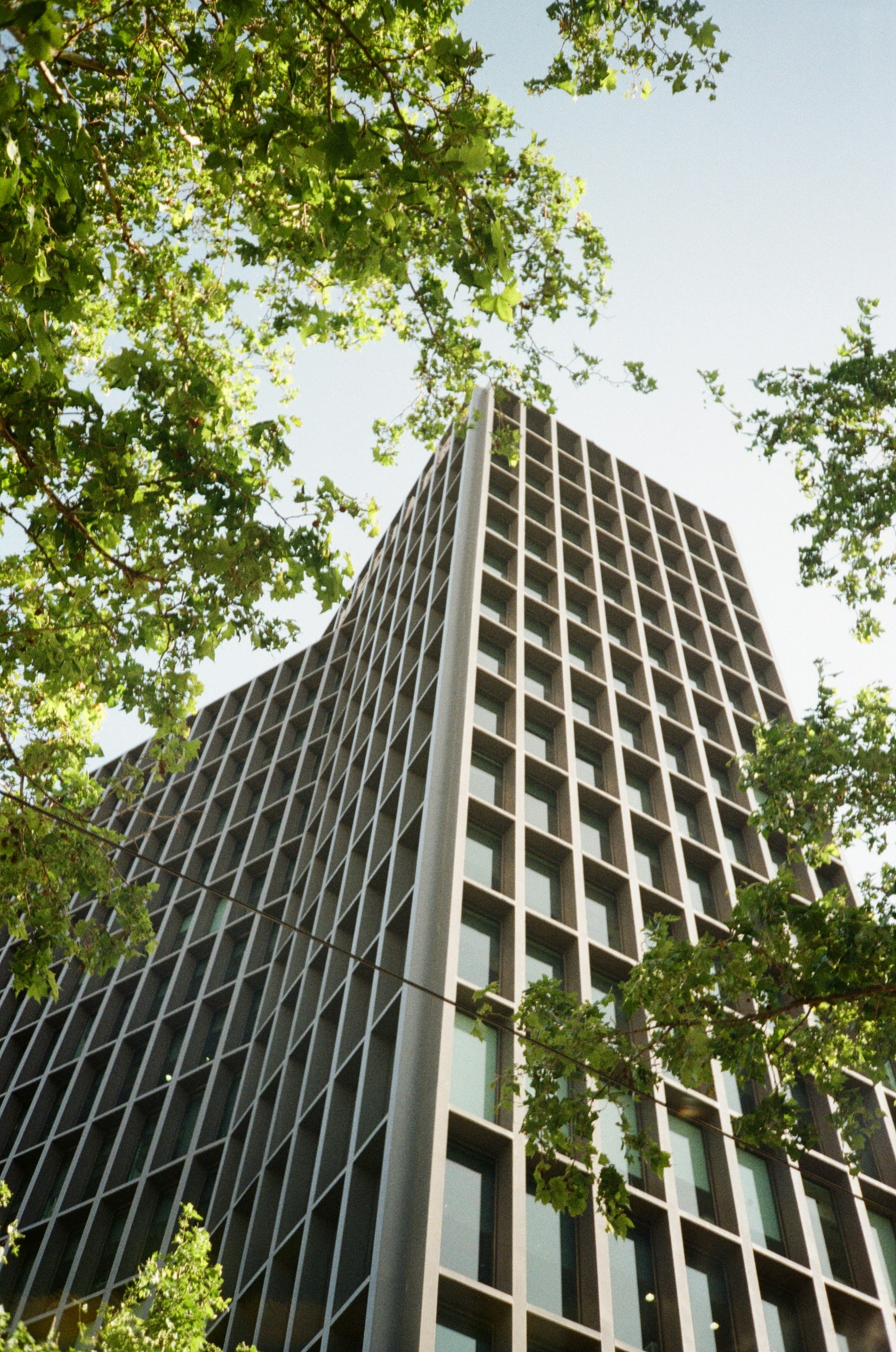 Photo by zhashkevych