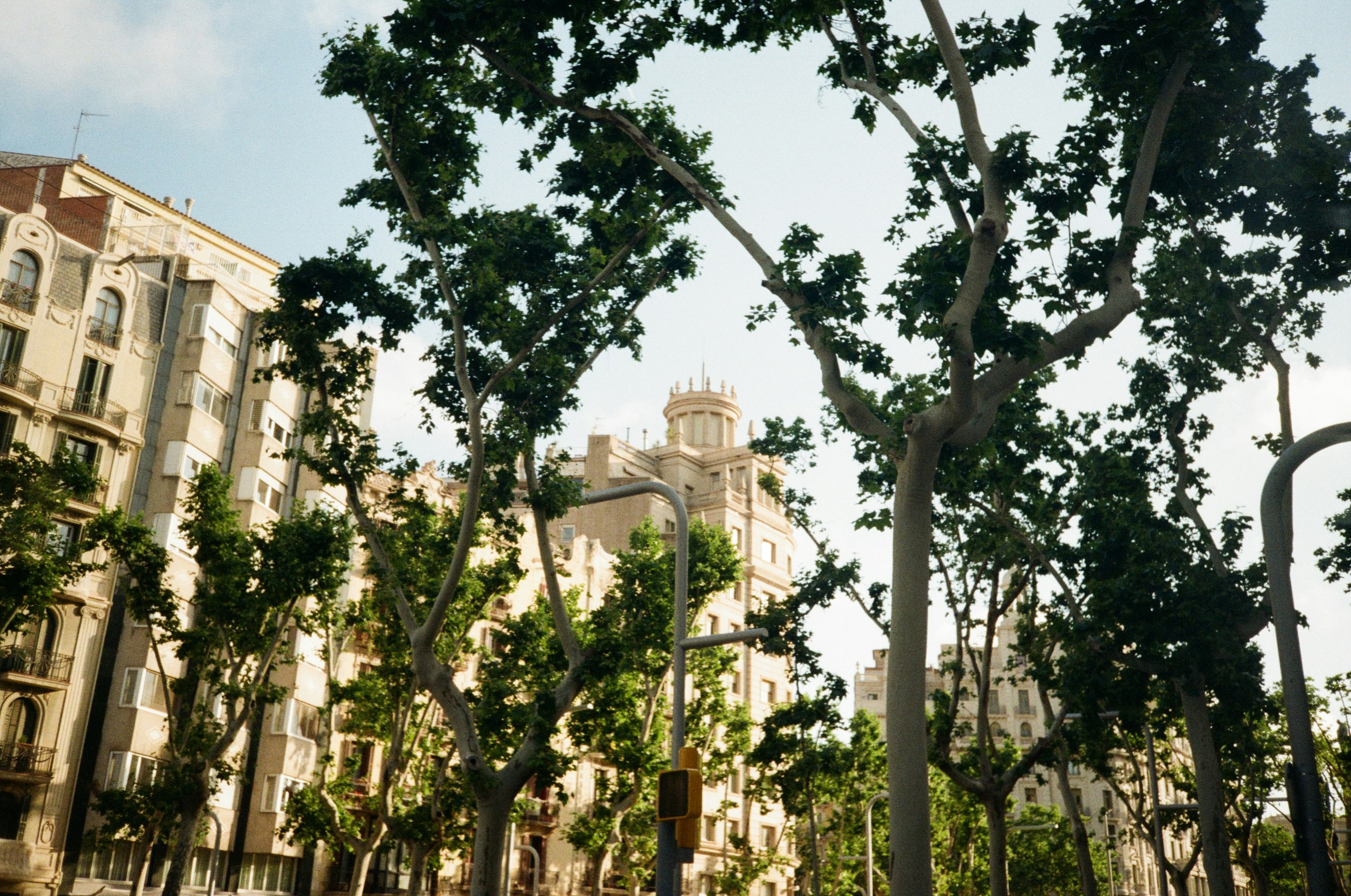 Photo by zhashkevych