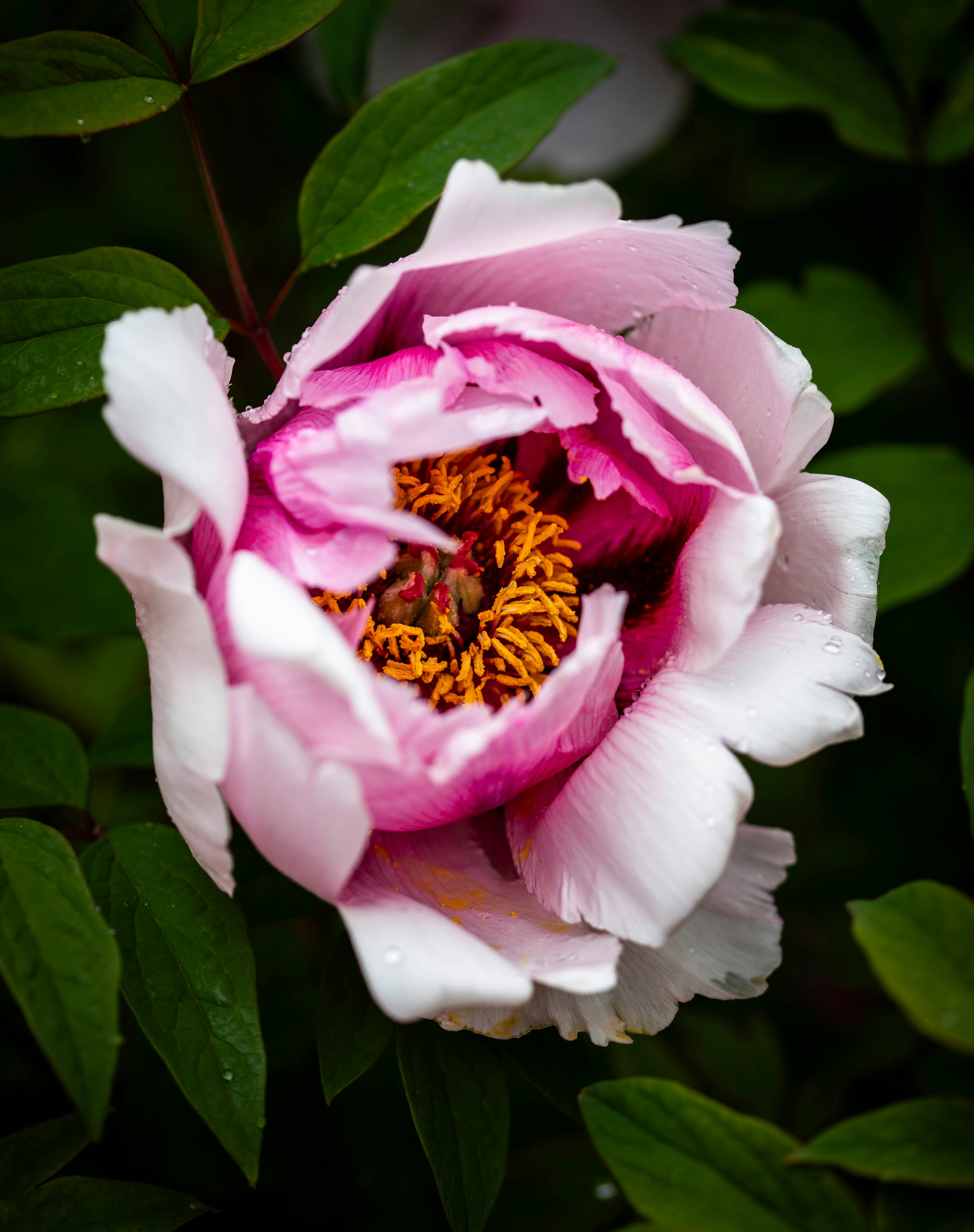 Photo by hdbernd