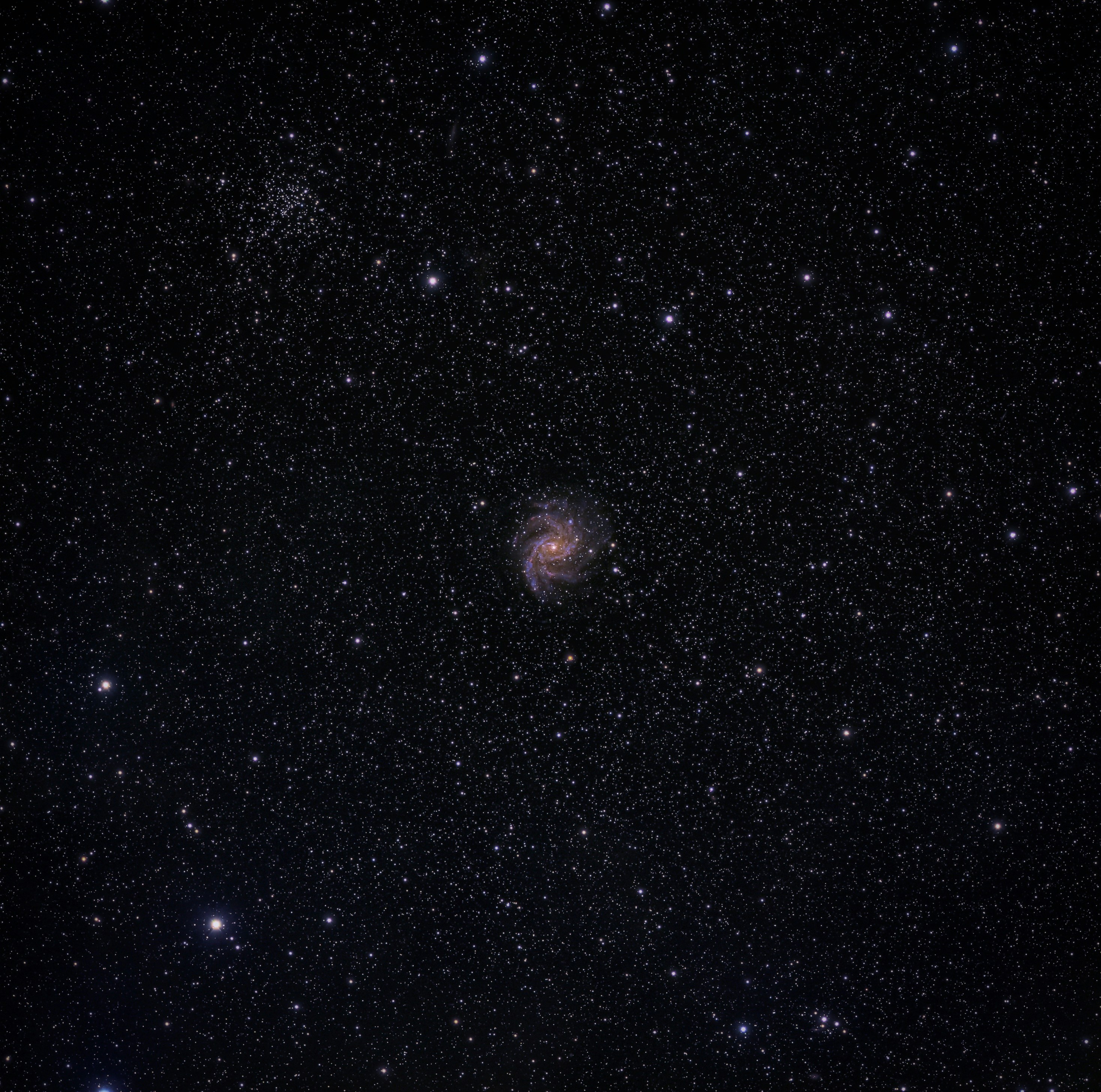 Photo by darkcatimages