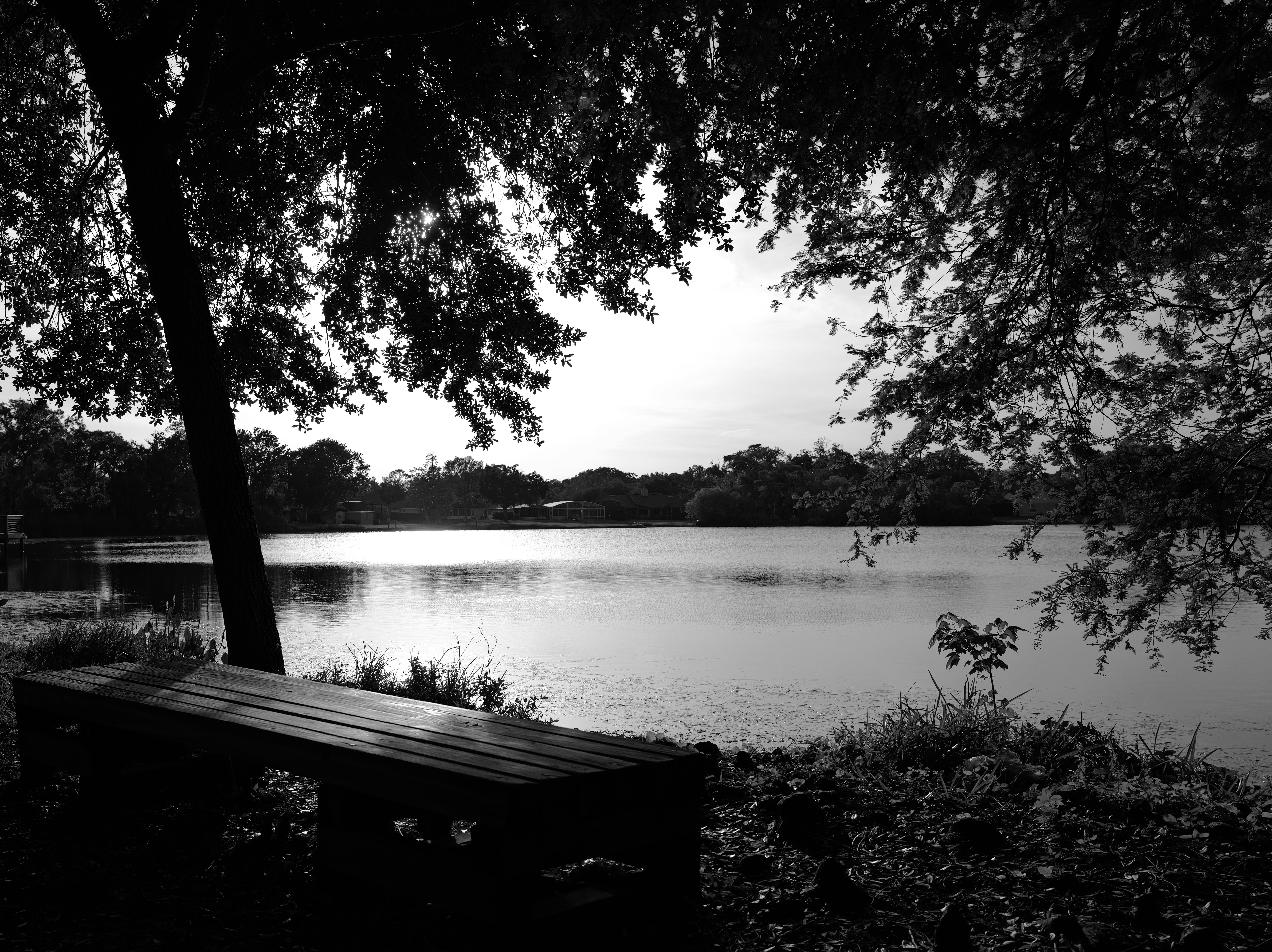 Photo by thephotochad