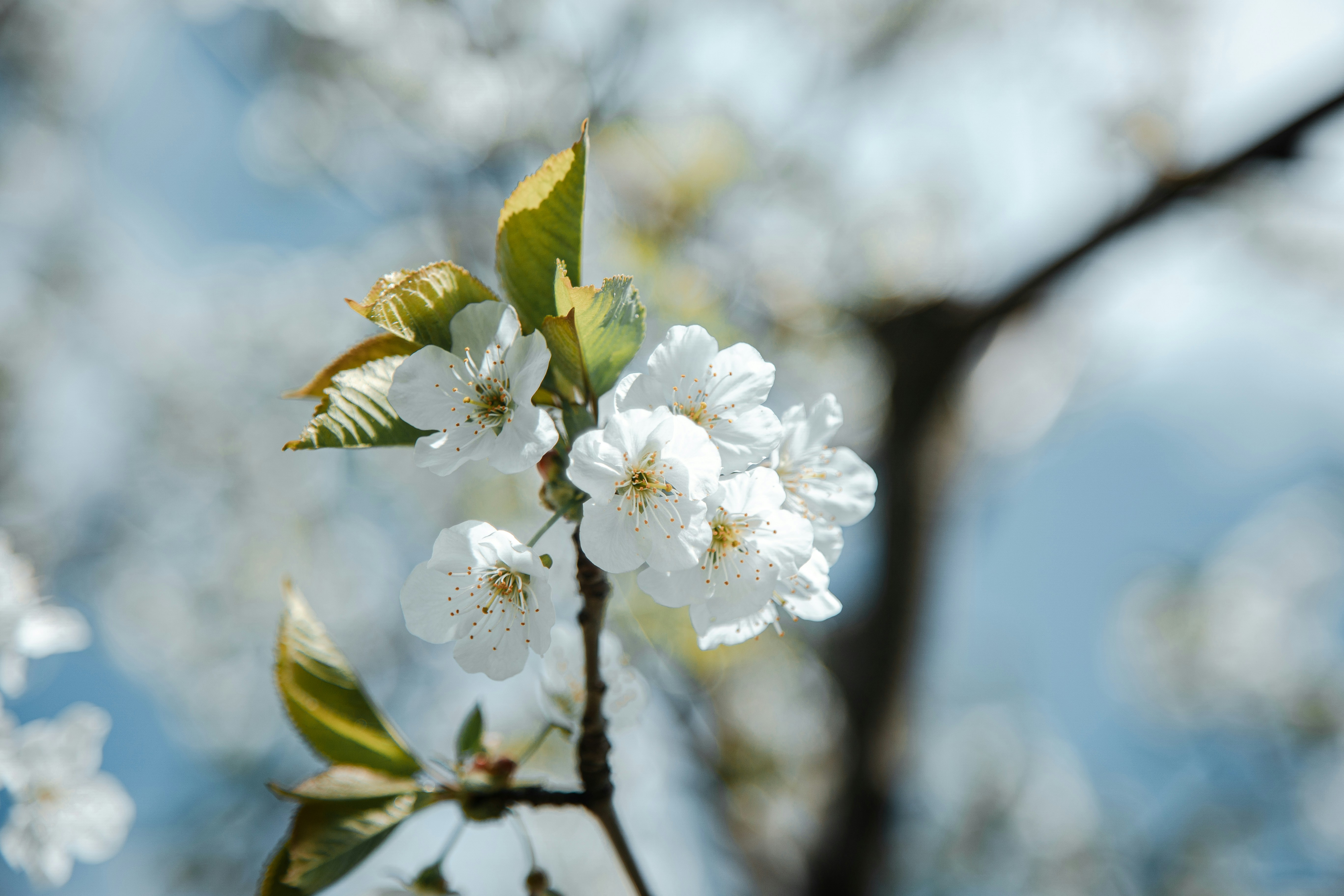 Photo by amanda_2703