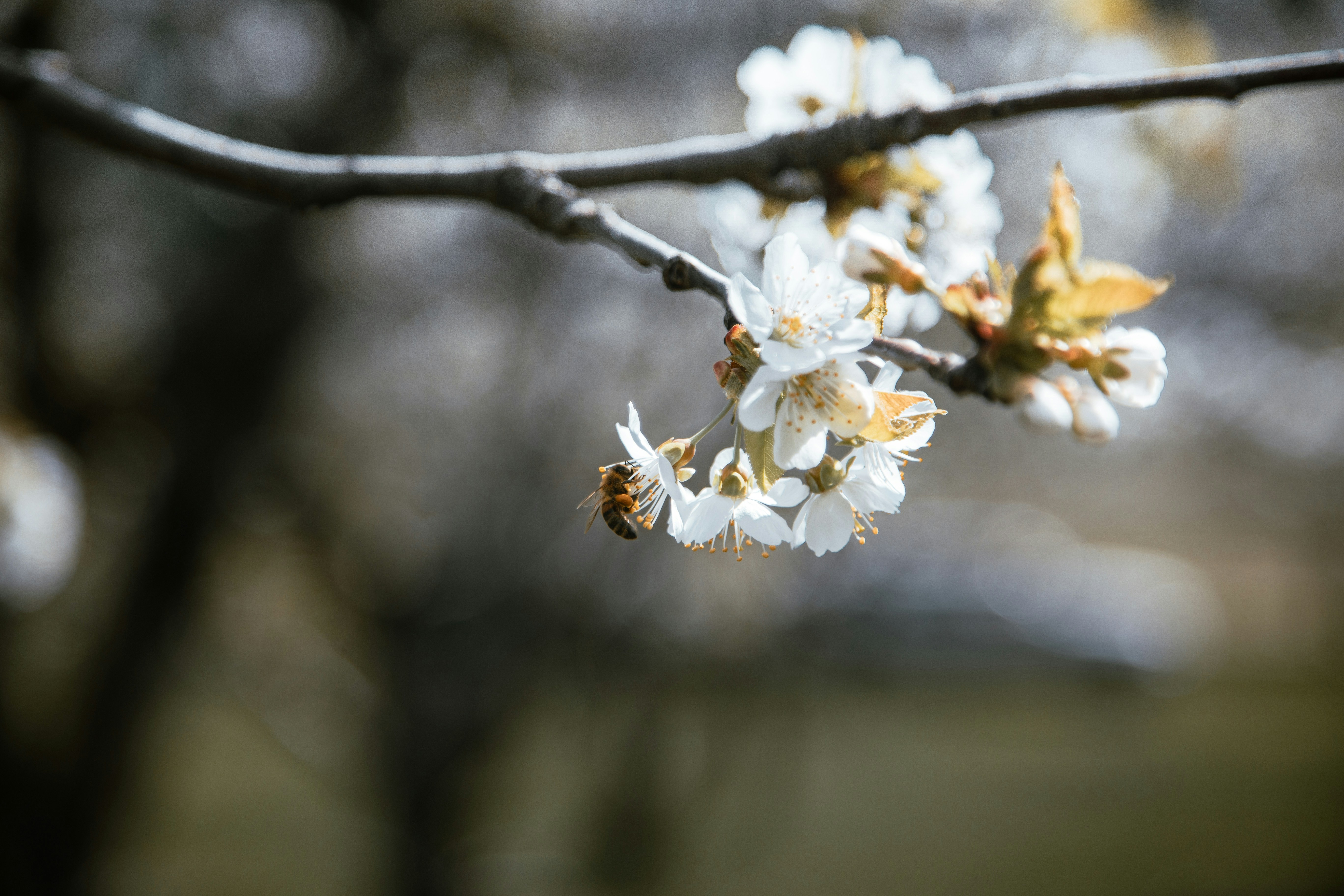 Photo by amanda_2703