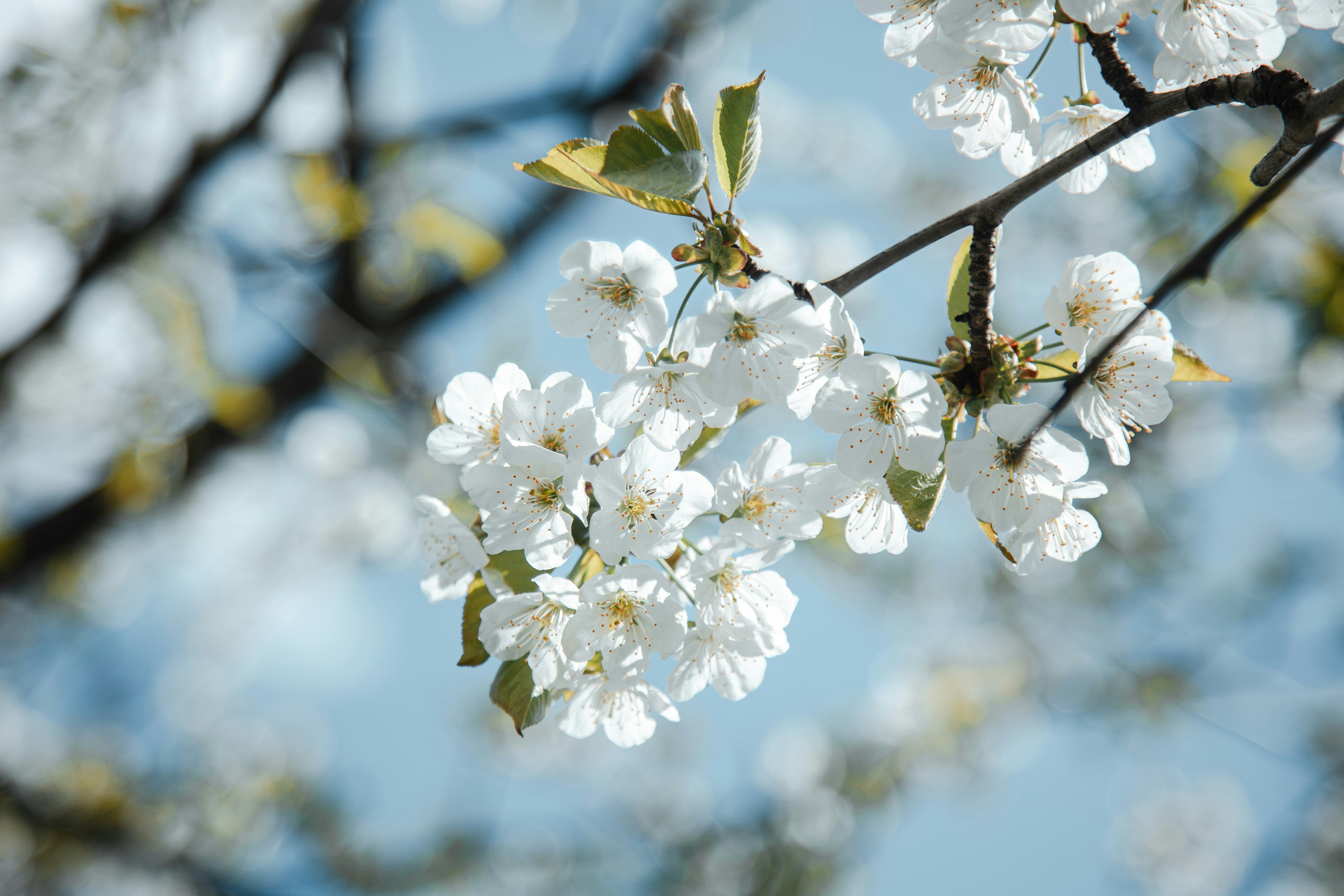 Photo by amanda_2703