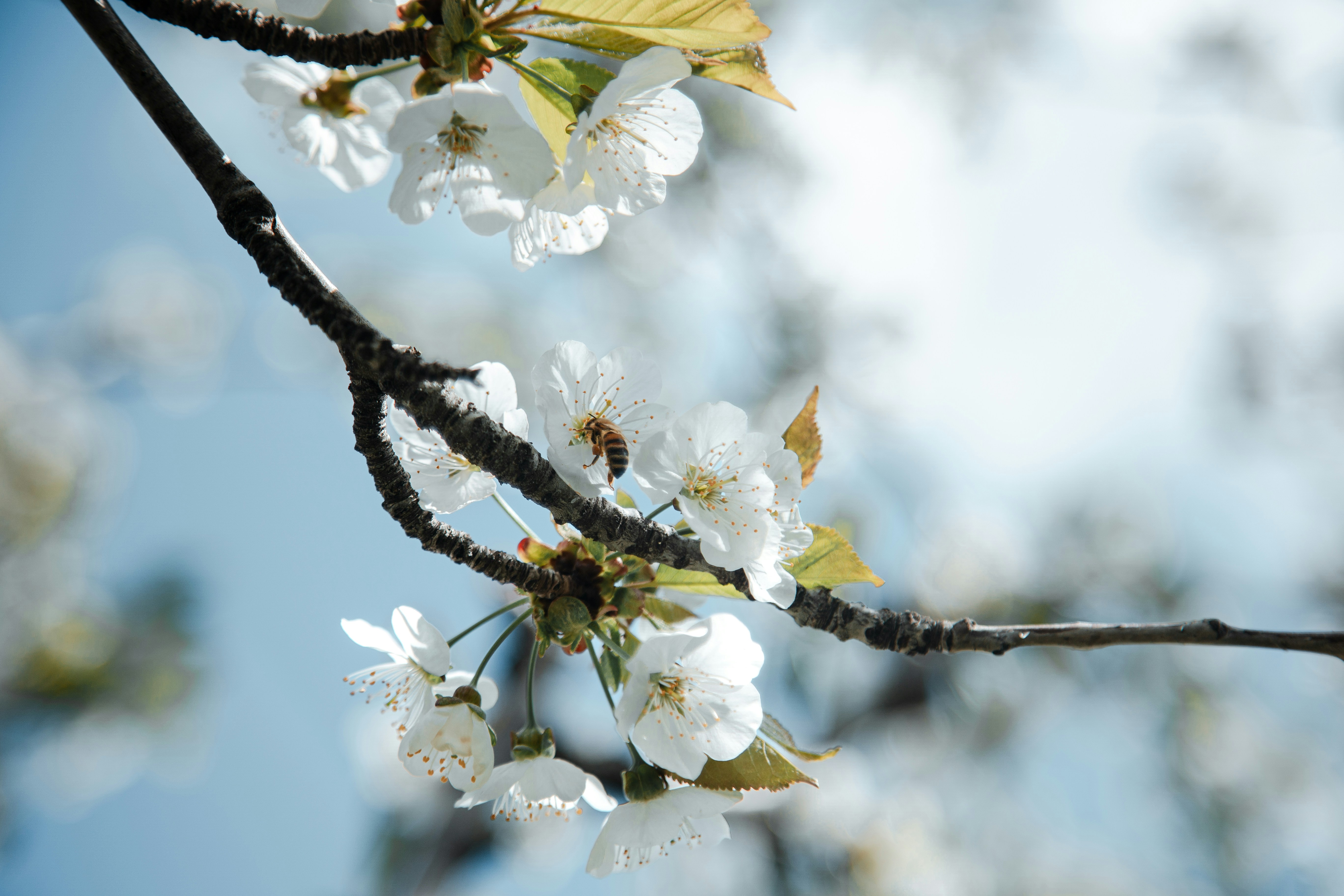 Photo by amanda_2703