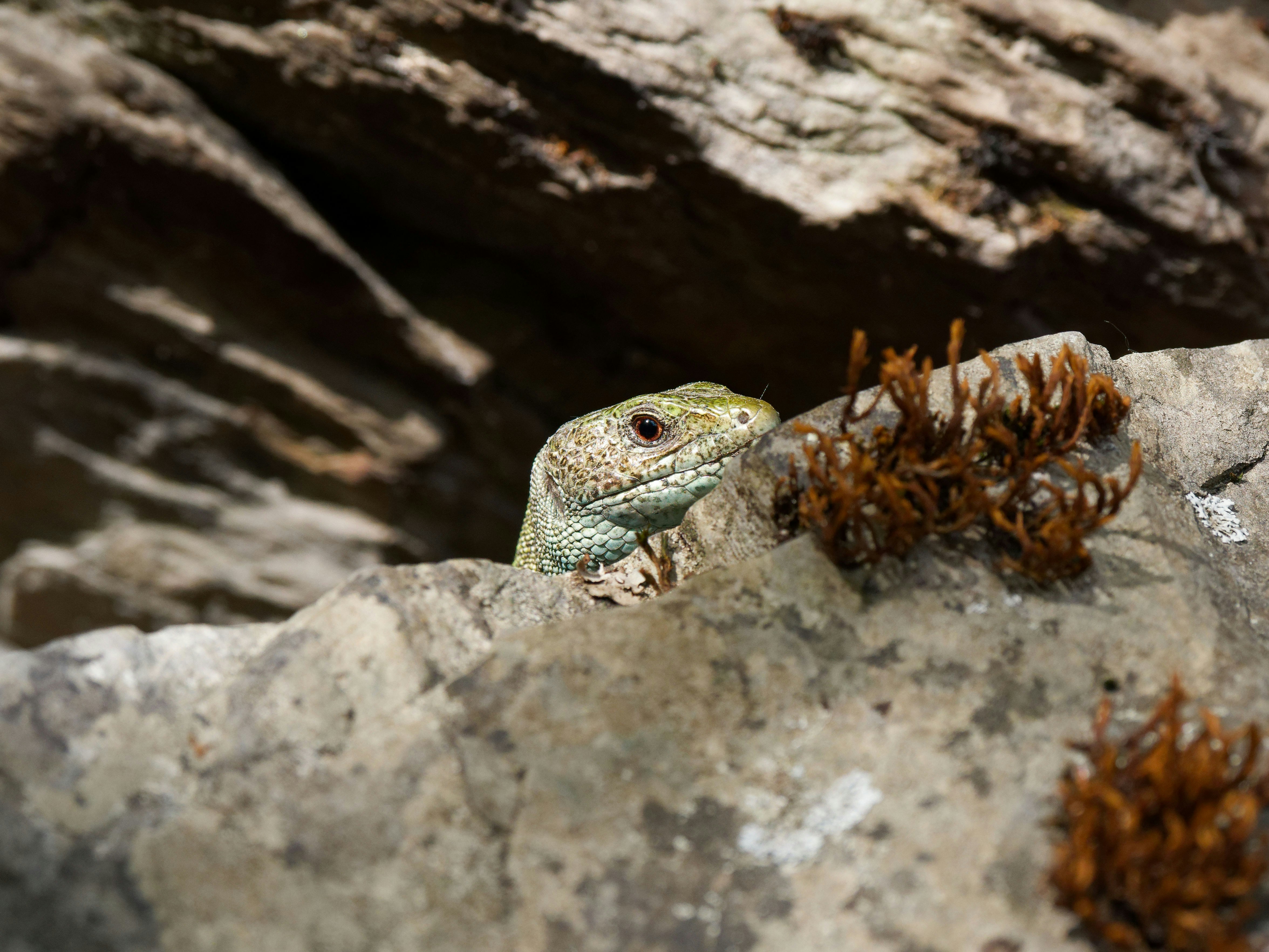 Photo by illes_cristi