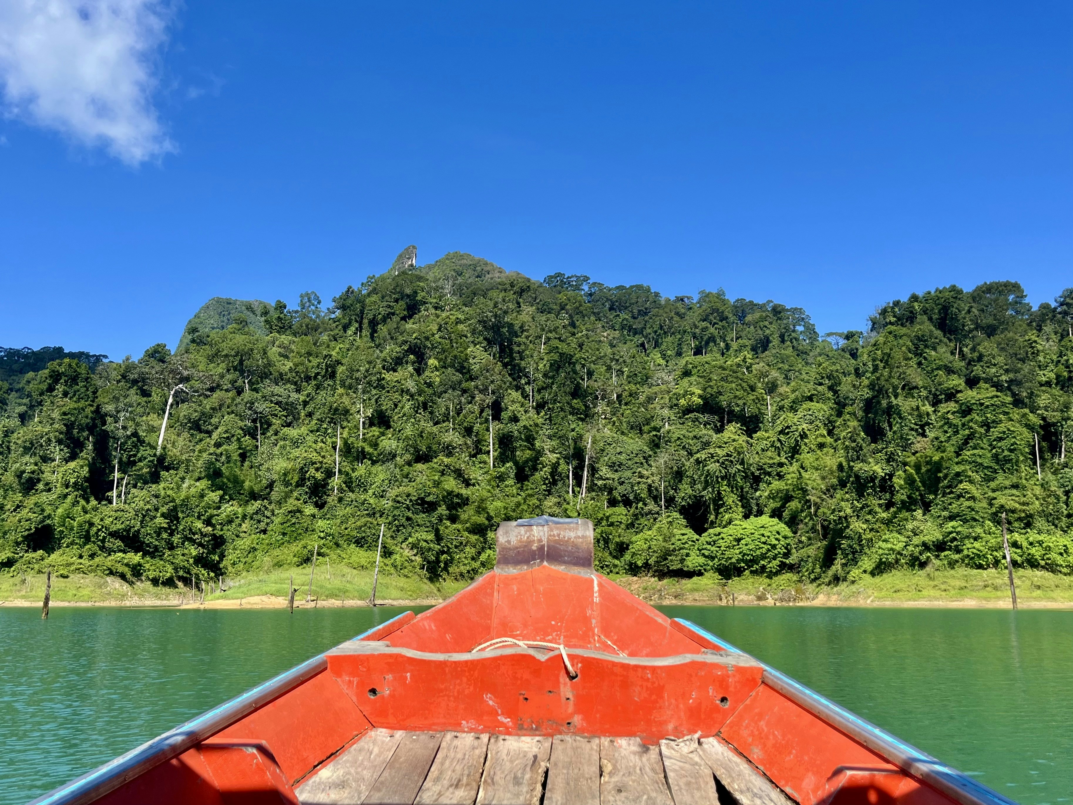 Photo by janwillemstarinkclicks