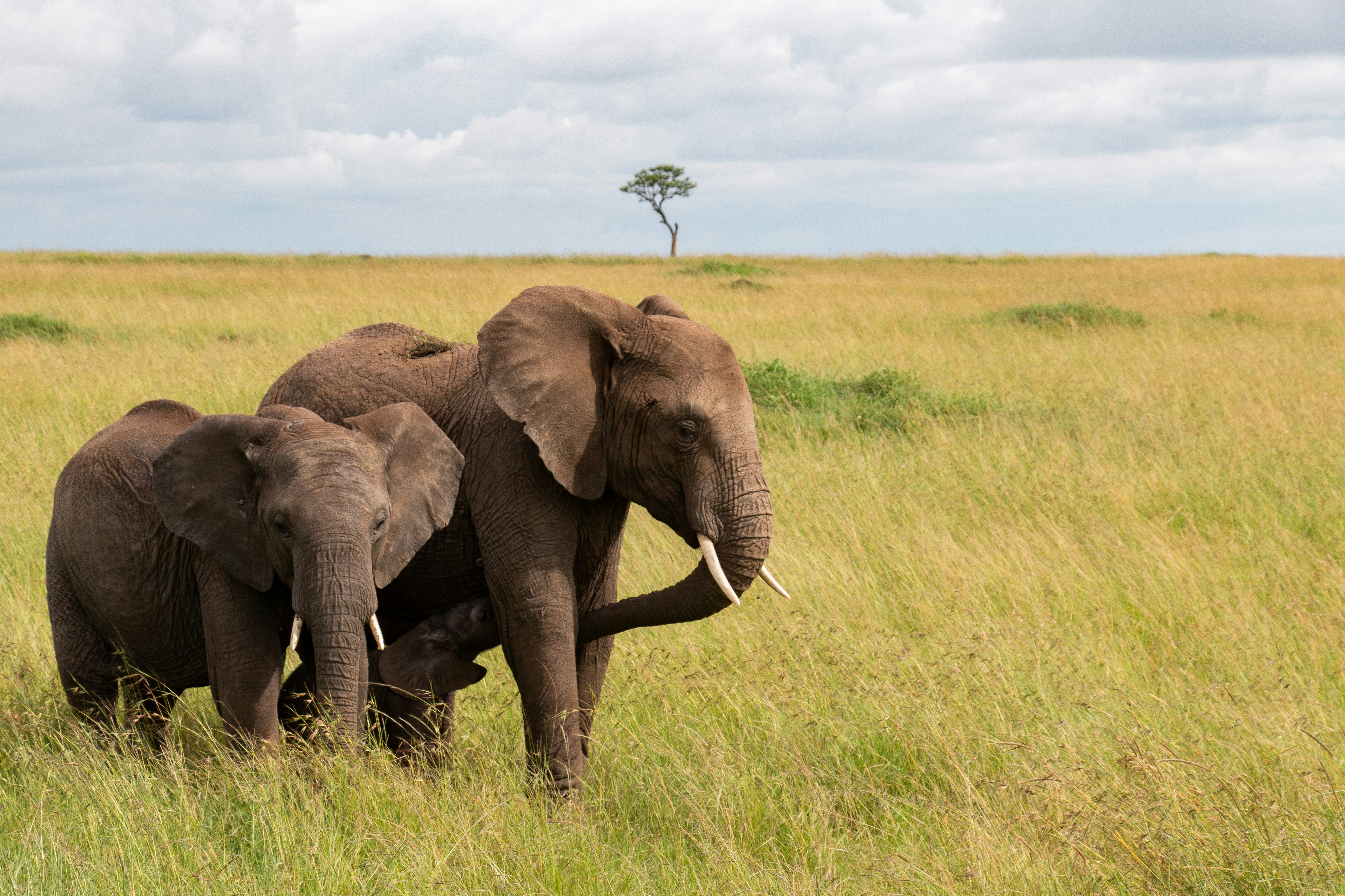 Photo by globalxplorer