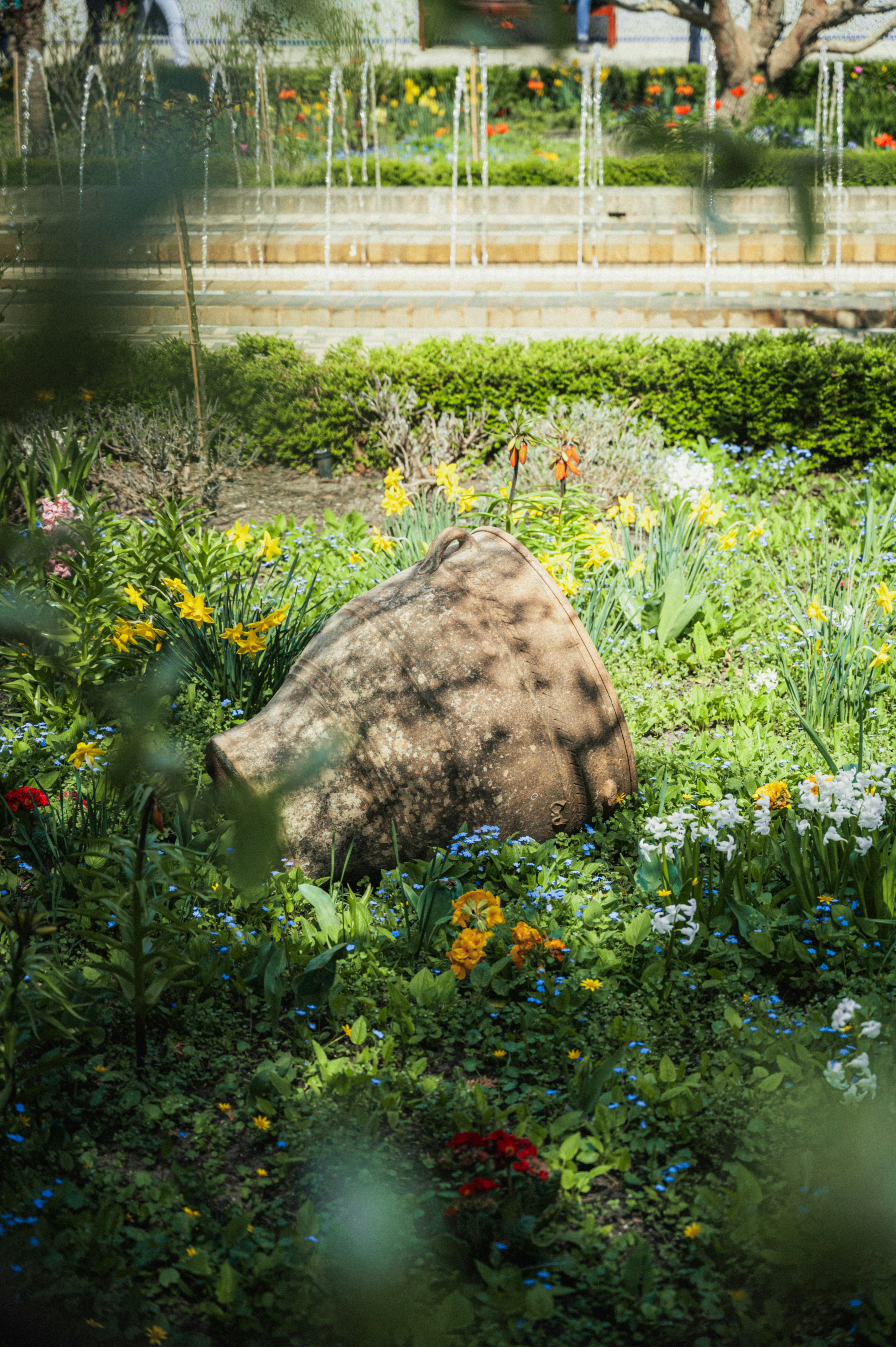 Photo by luca_severin