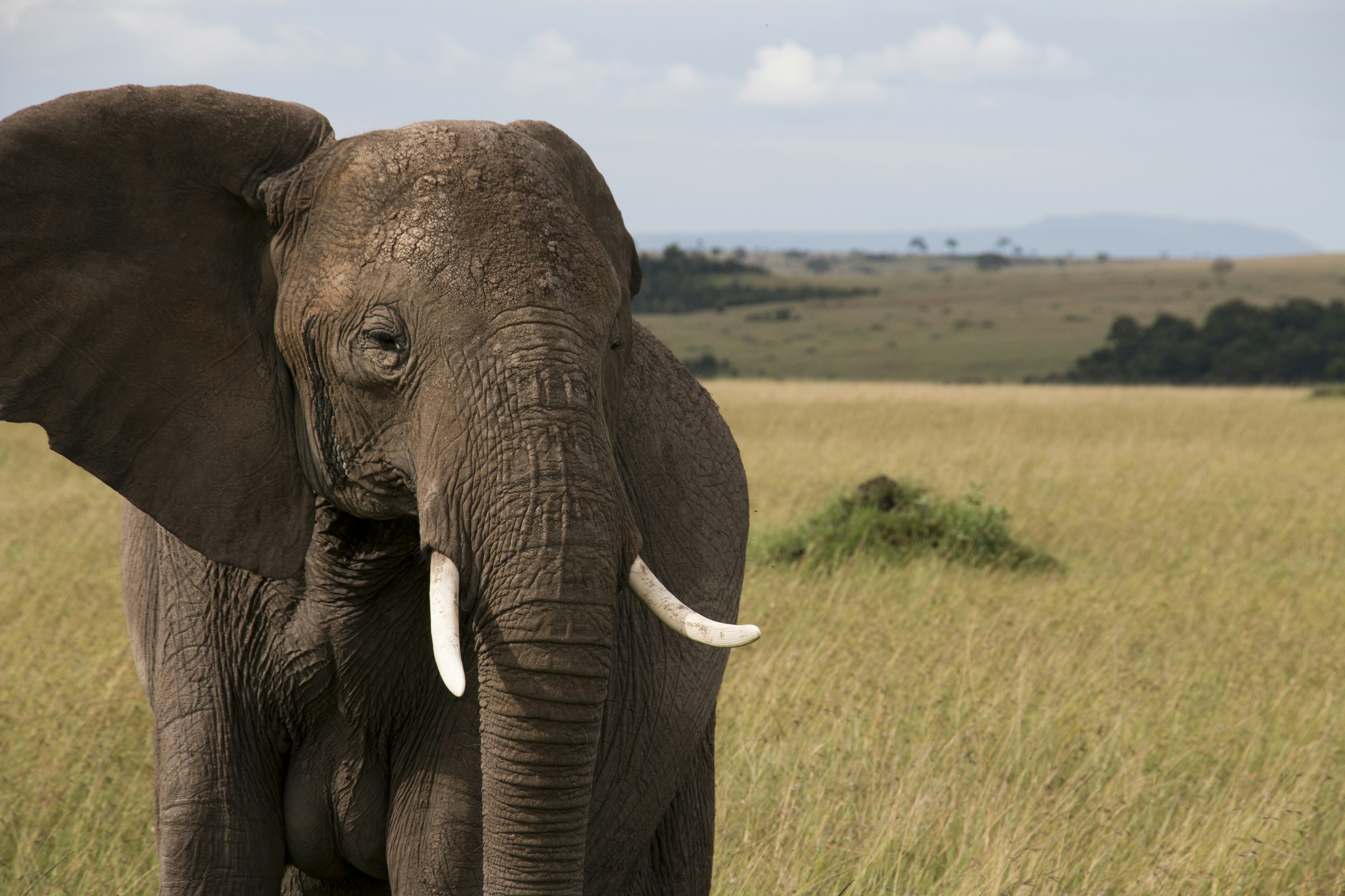 Photo by globalxplorer