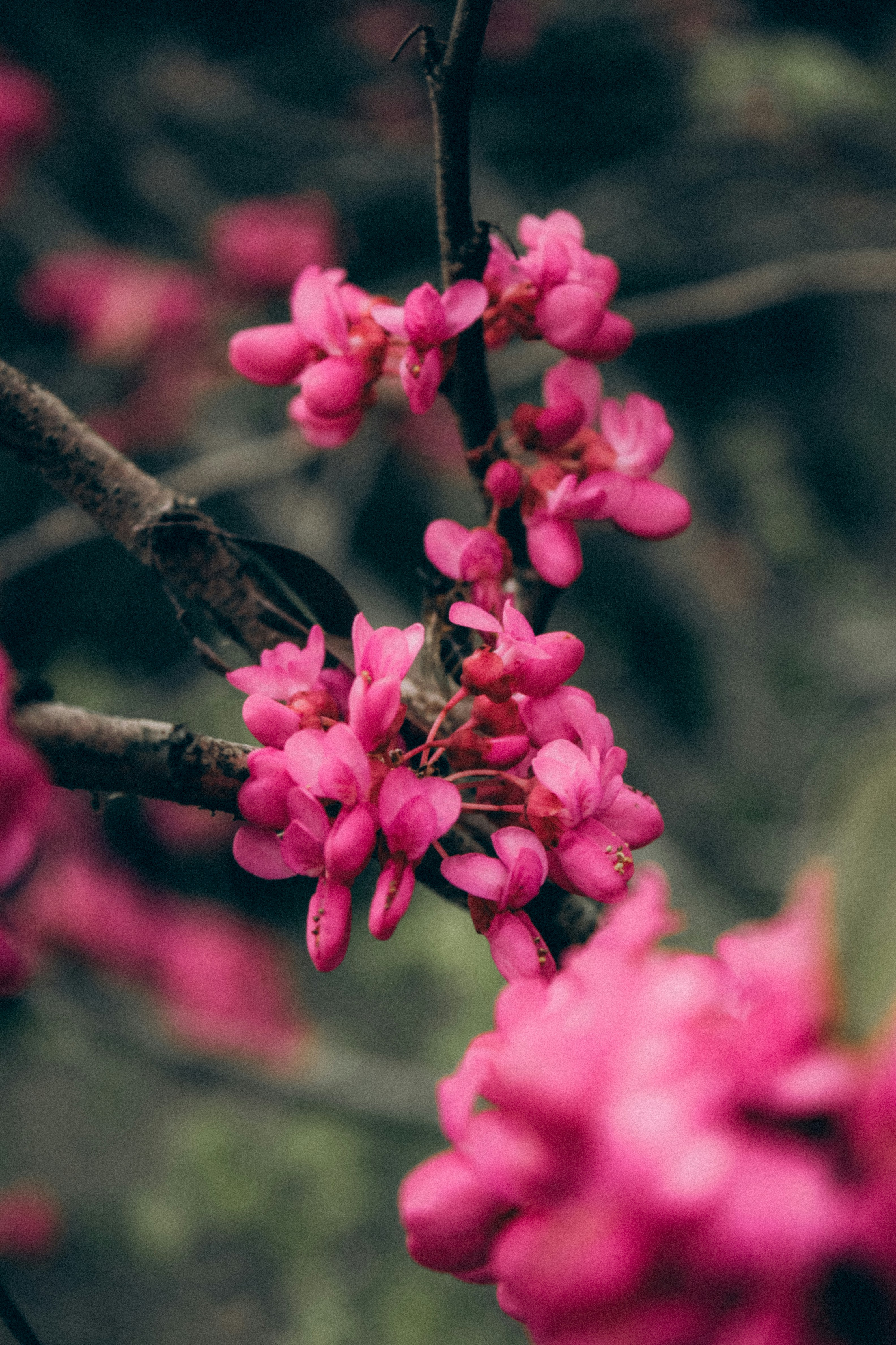 Photo by im_nacty