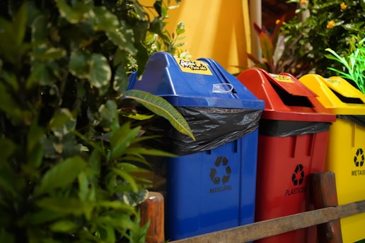 Colorful recycling bins with green foliage.