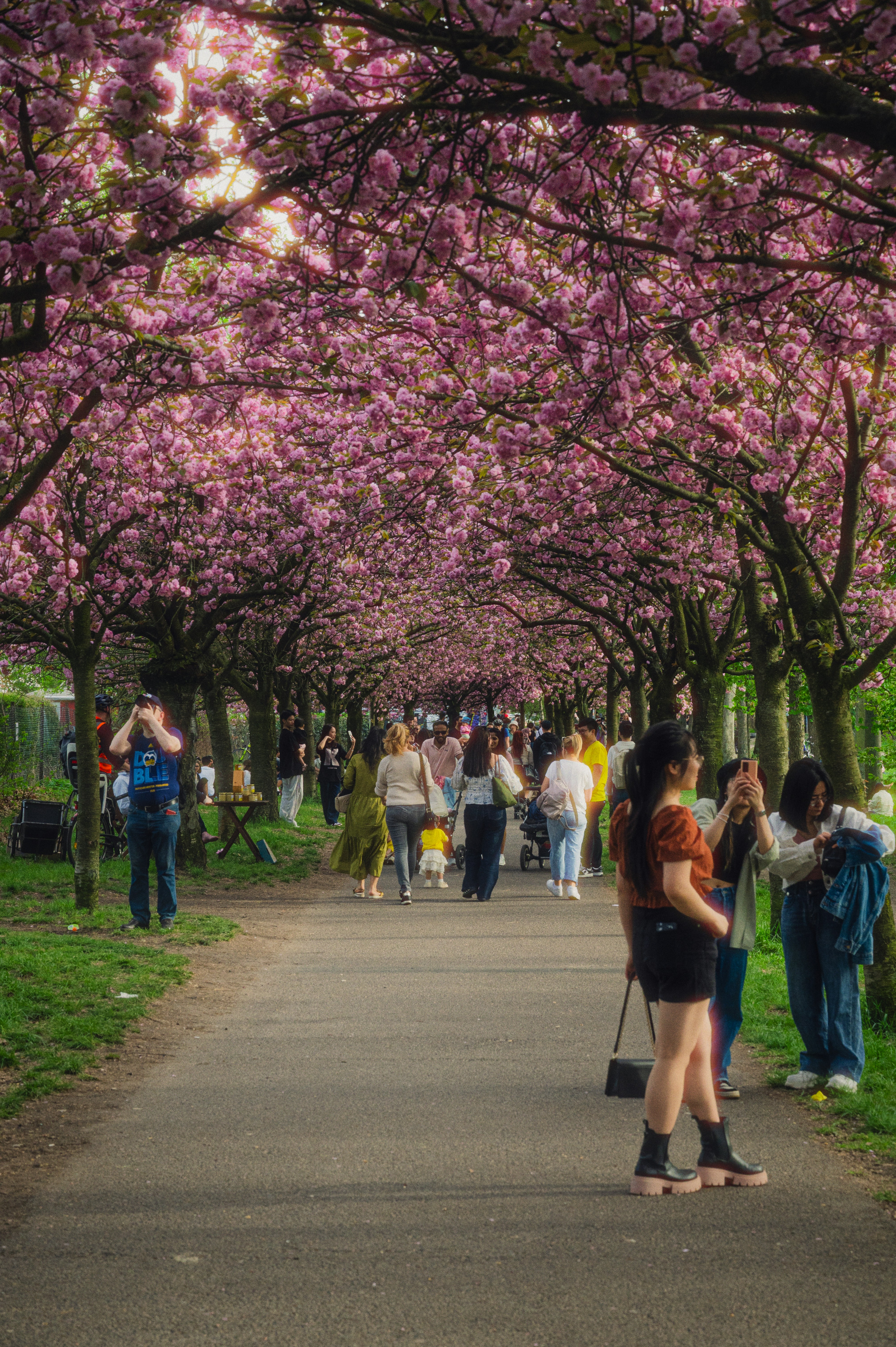 Photo by luca_severin