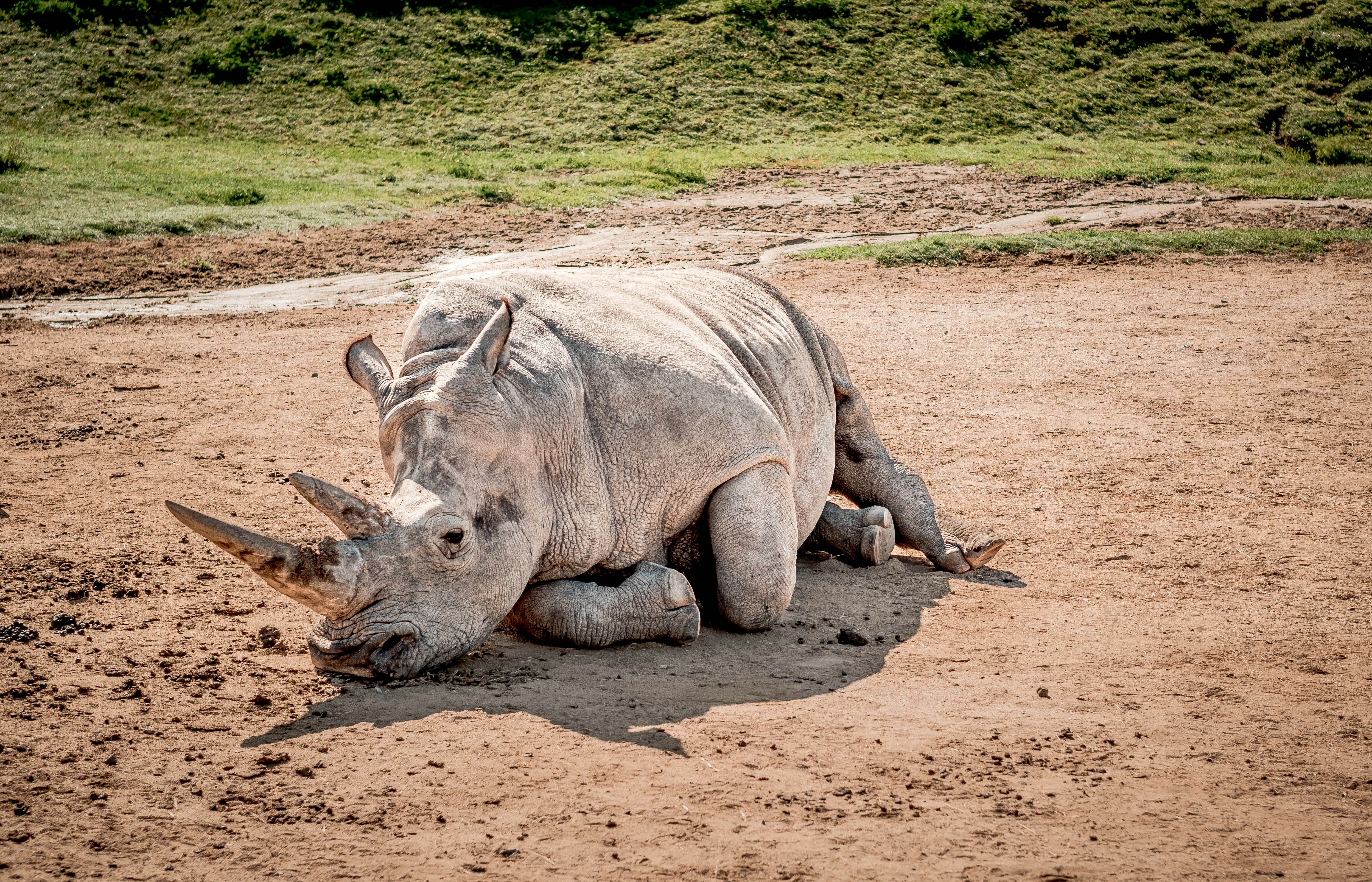 Photo by lanceanderson