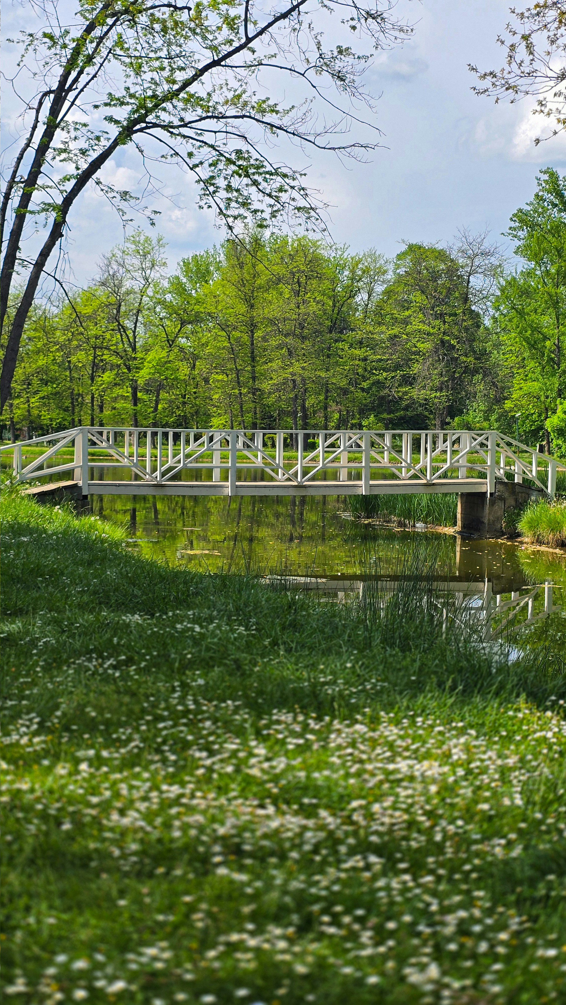 Photo by martinkoloski