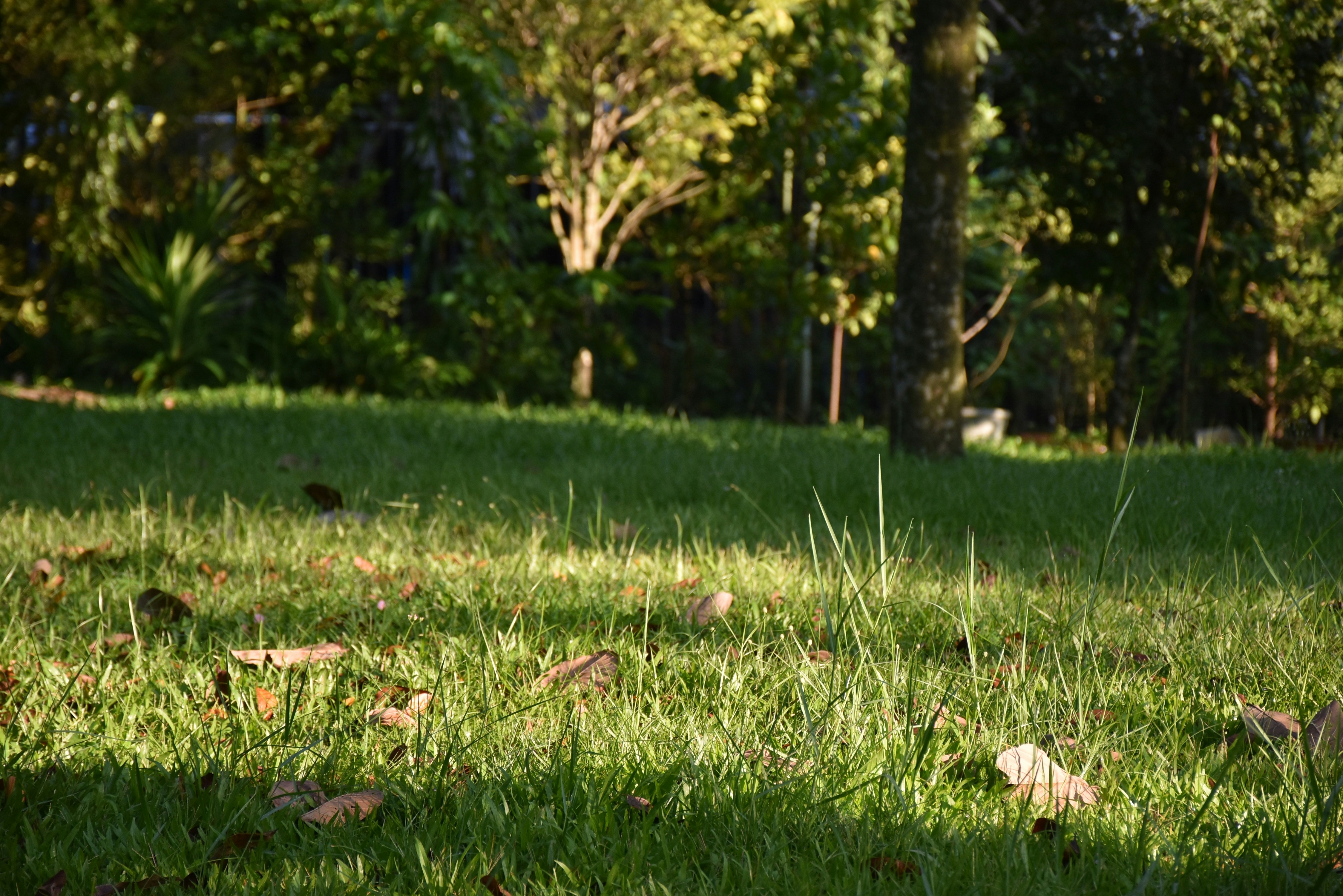 Photo by noelleinmarket