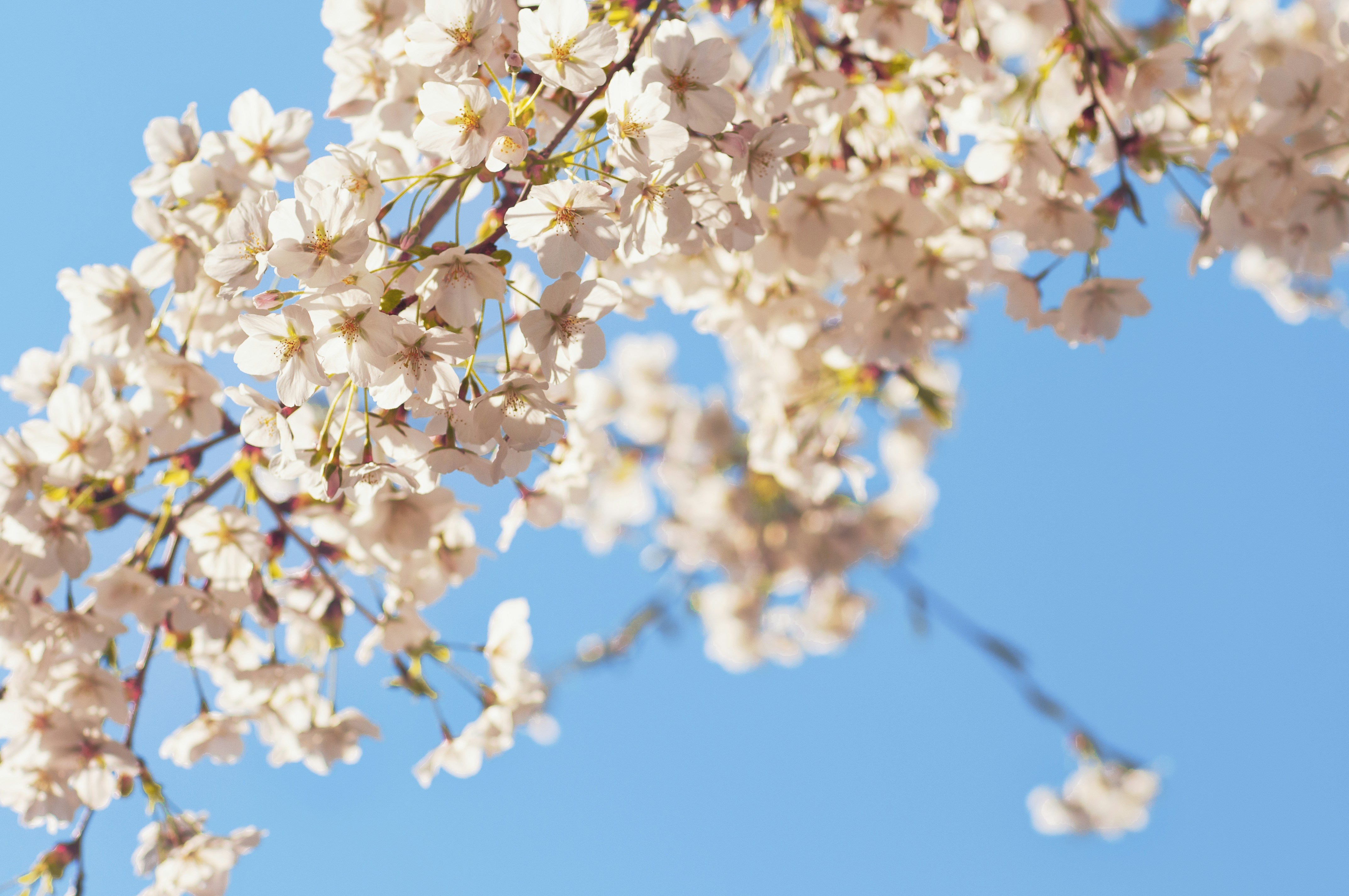 Photo by nunnunannalala