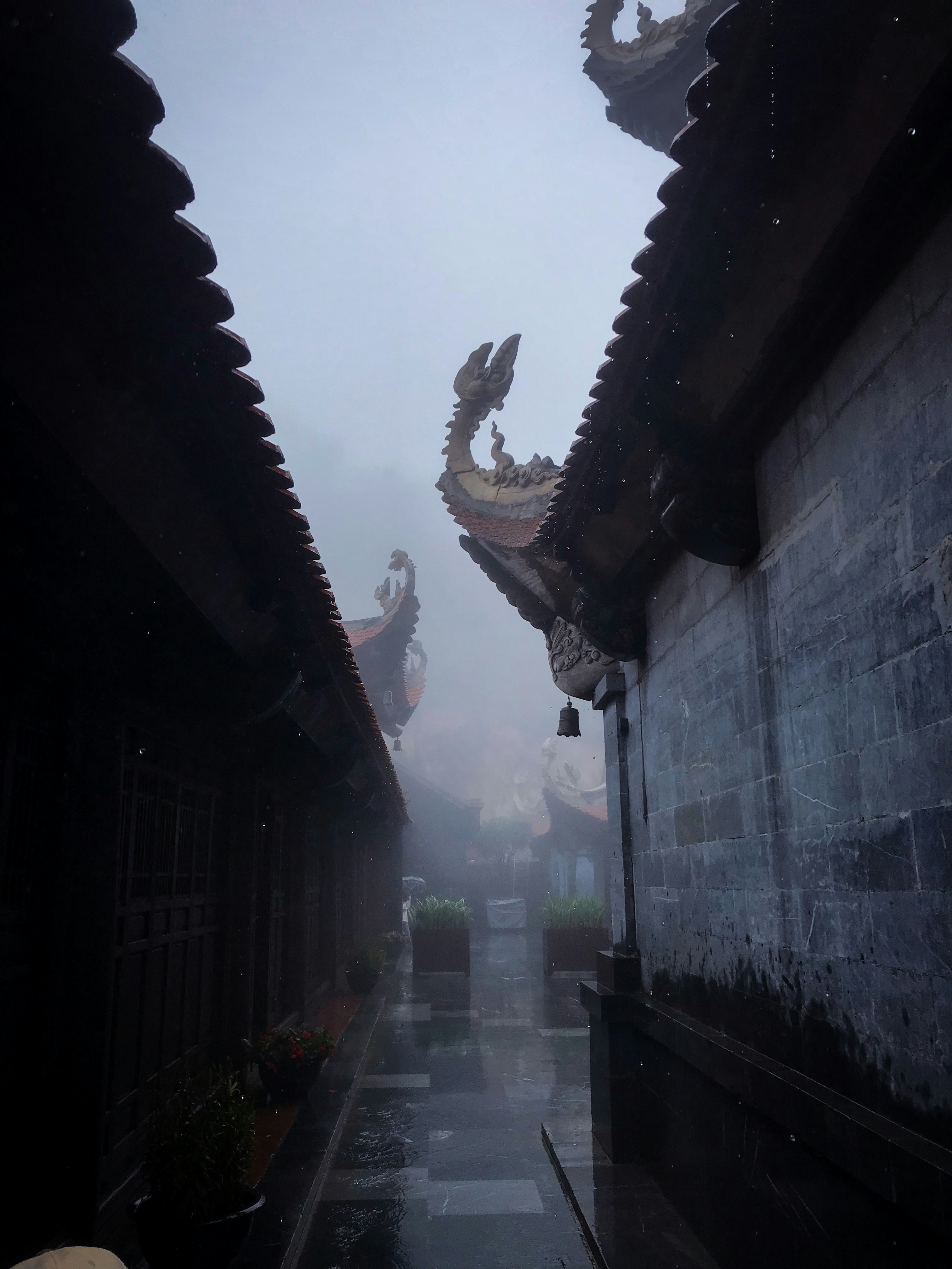 An Dang (@quocandg) | Comunidade de fotos da Unsplash