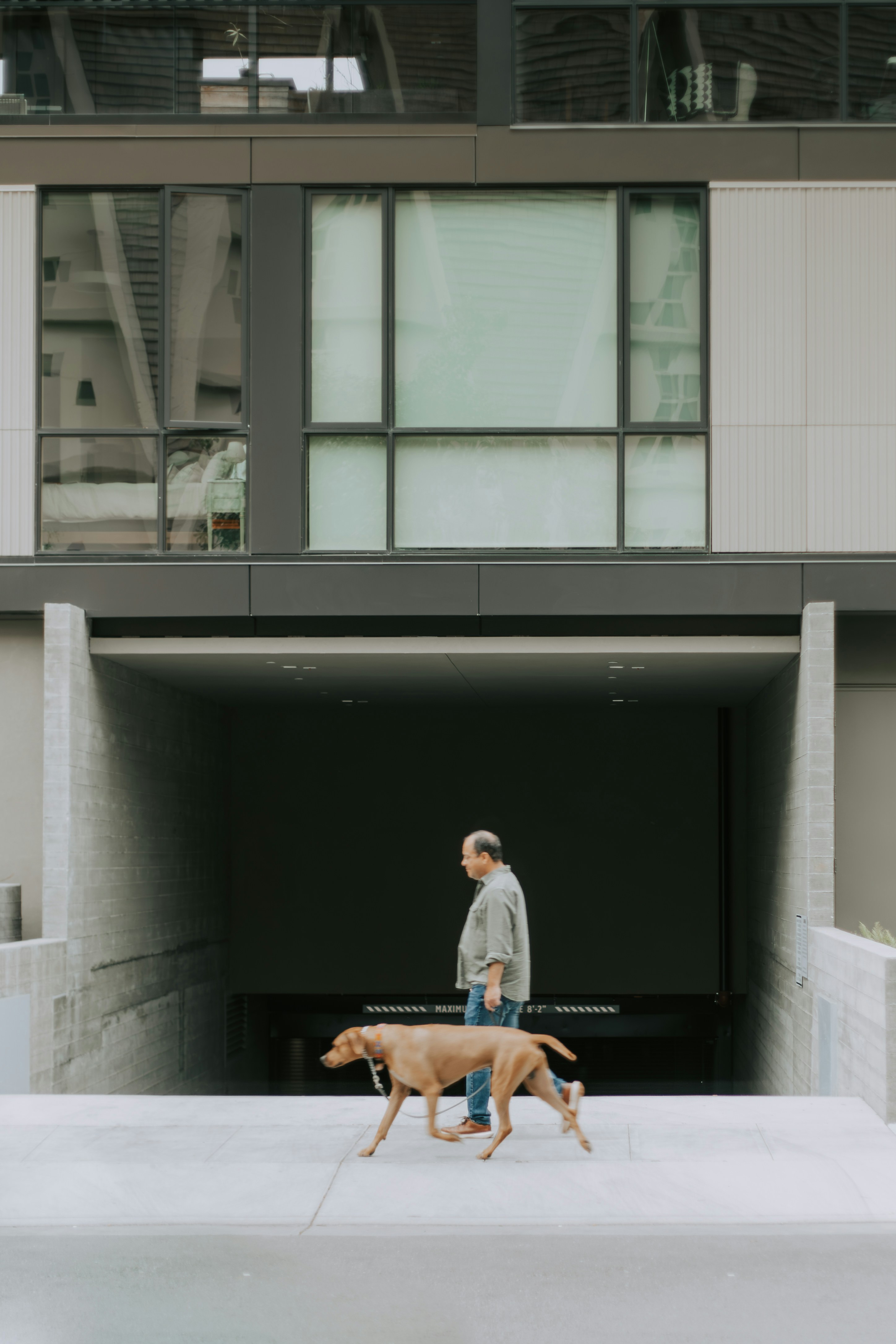 A man walks his dog near a modern building.