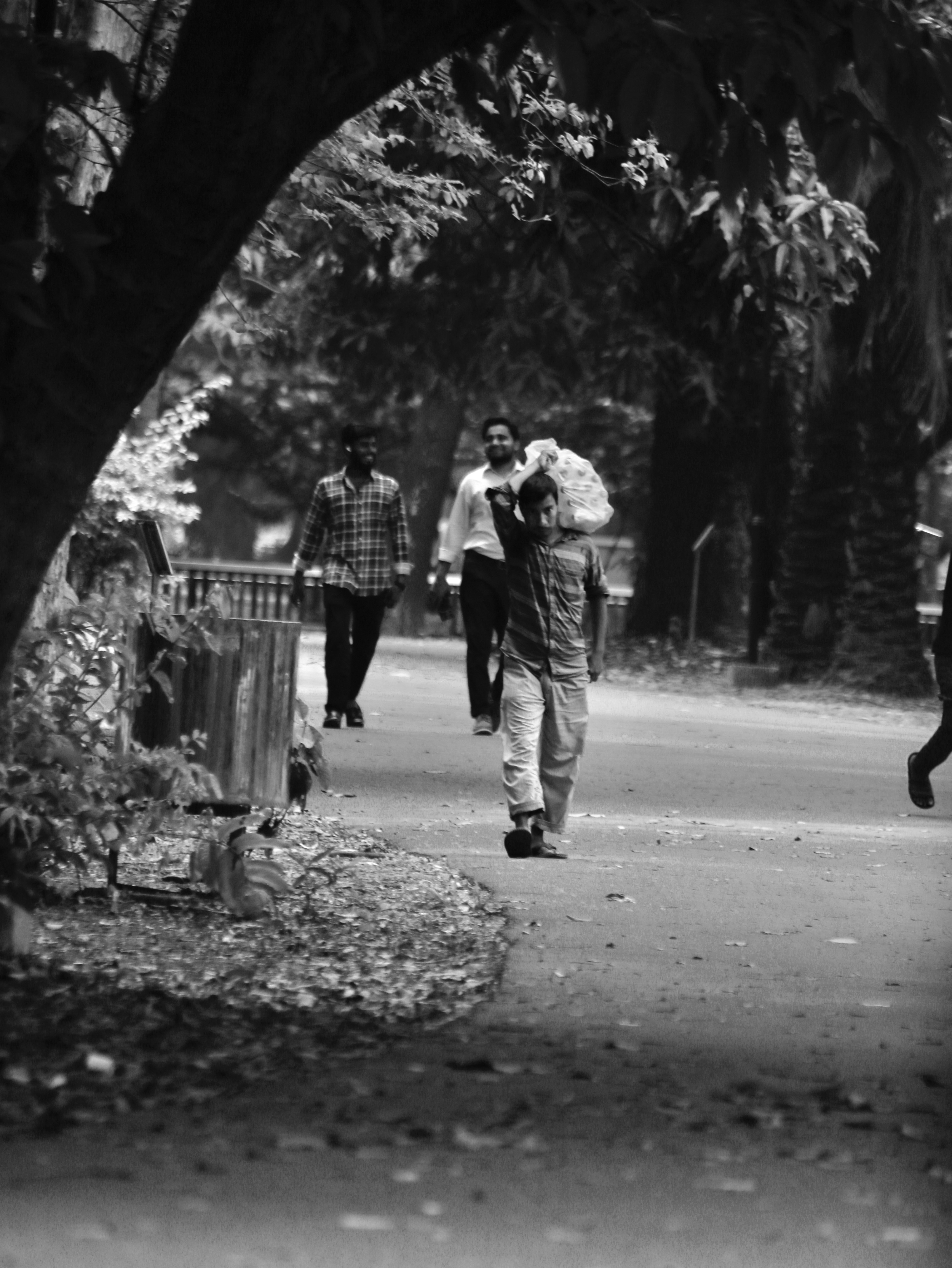 Photo by rasel52a