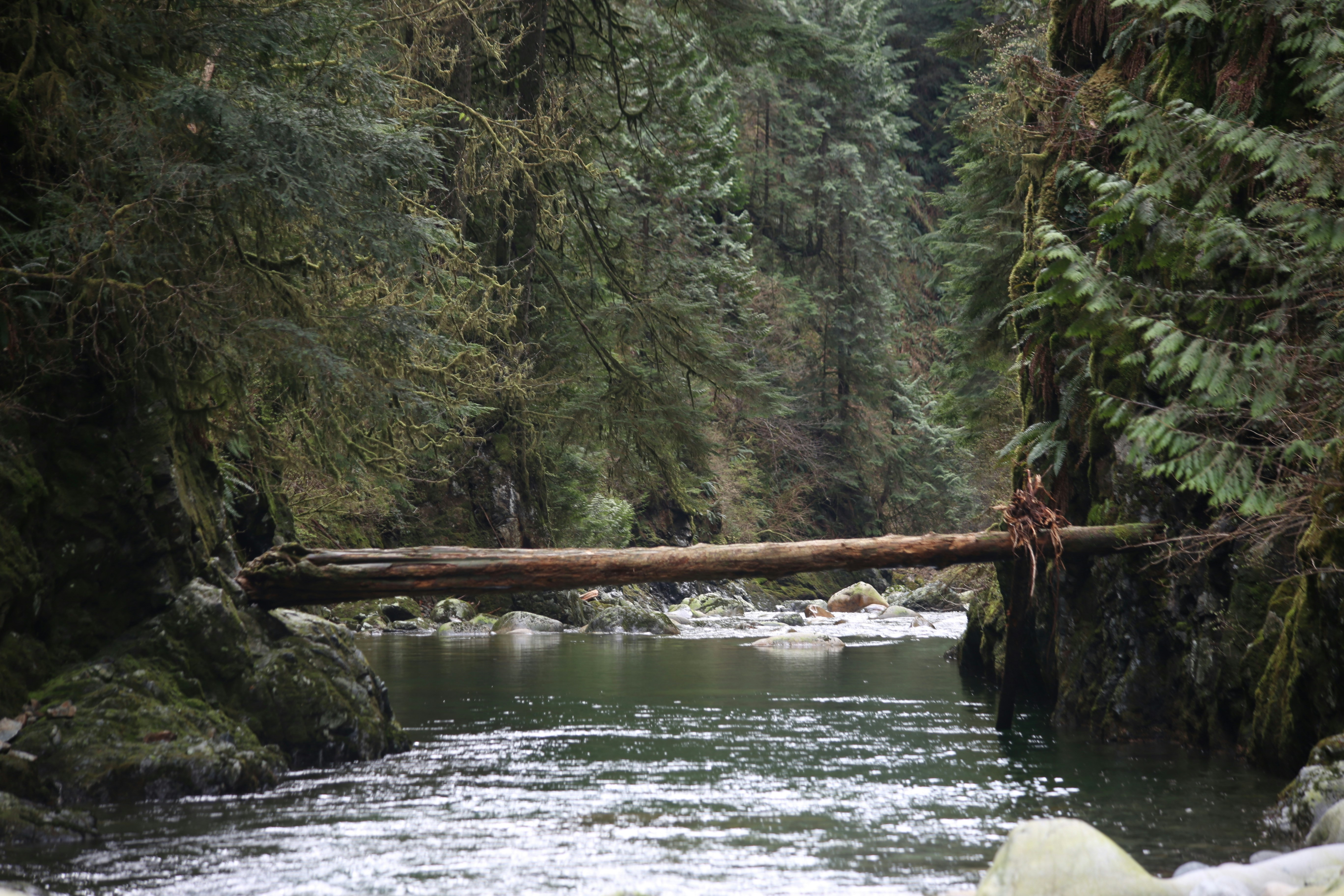 A log bridge spans a rushing river.