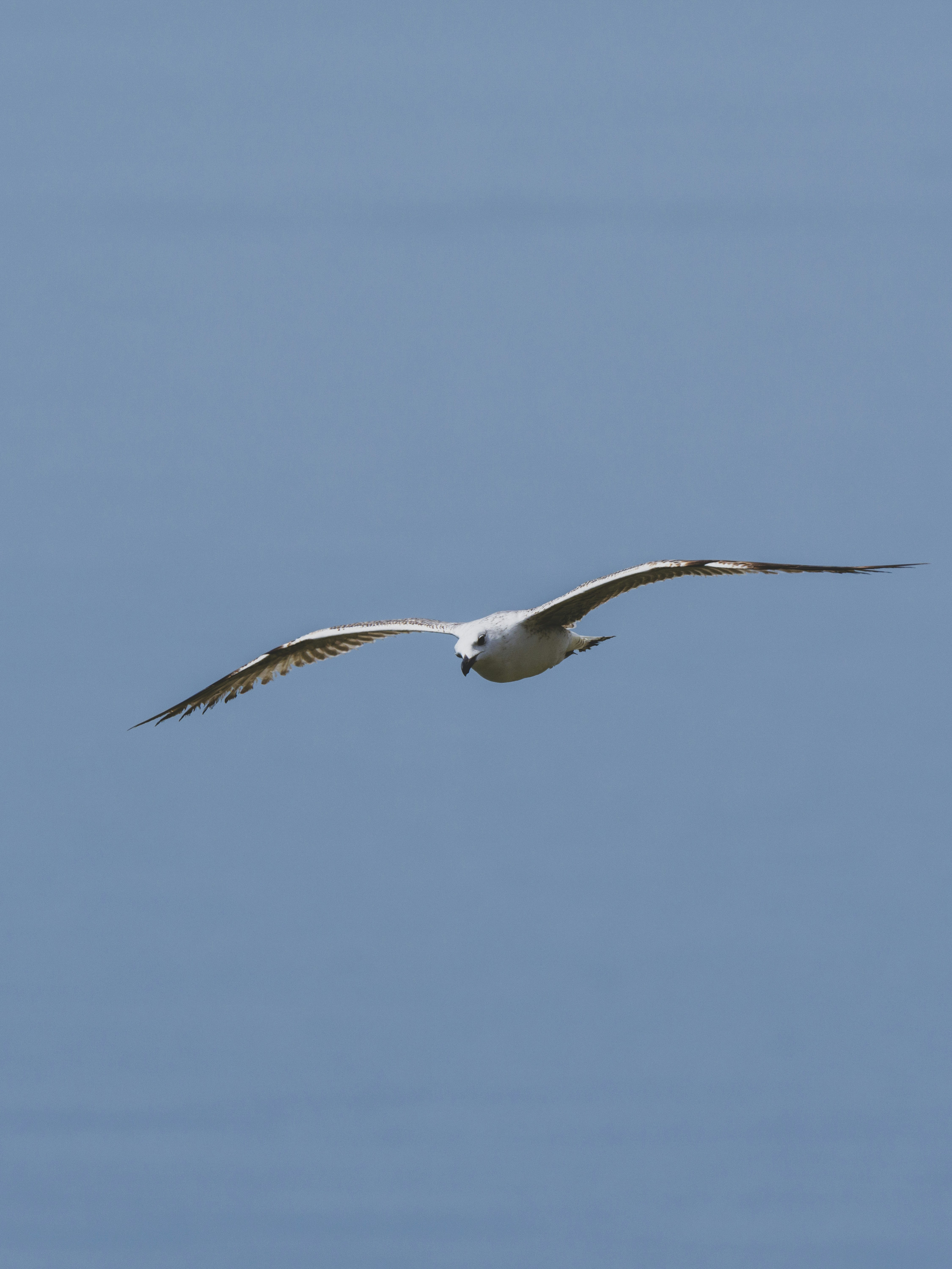 Photo by enginakyurt