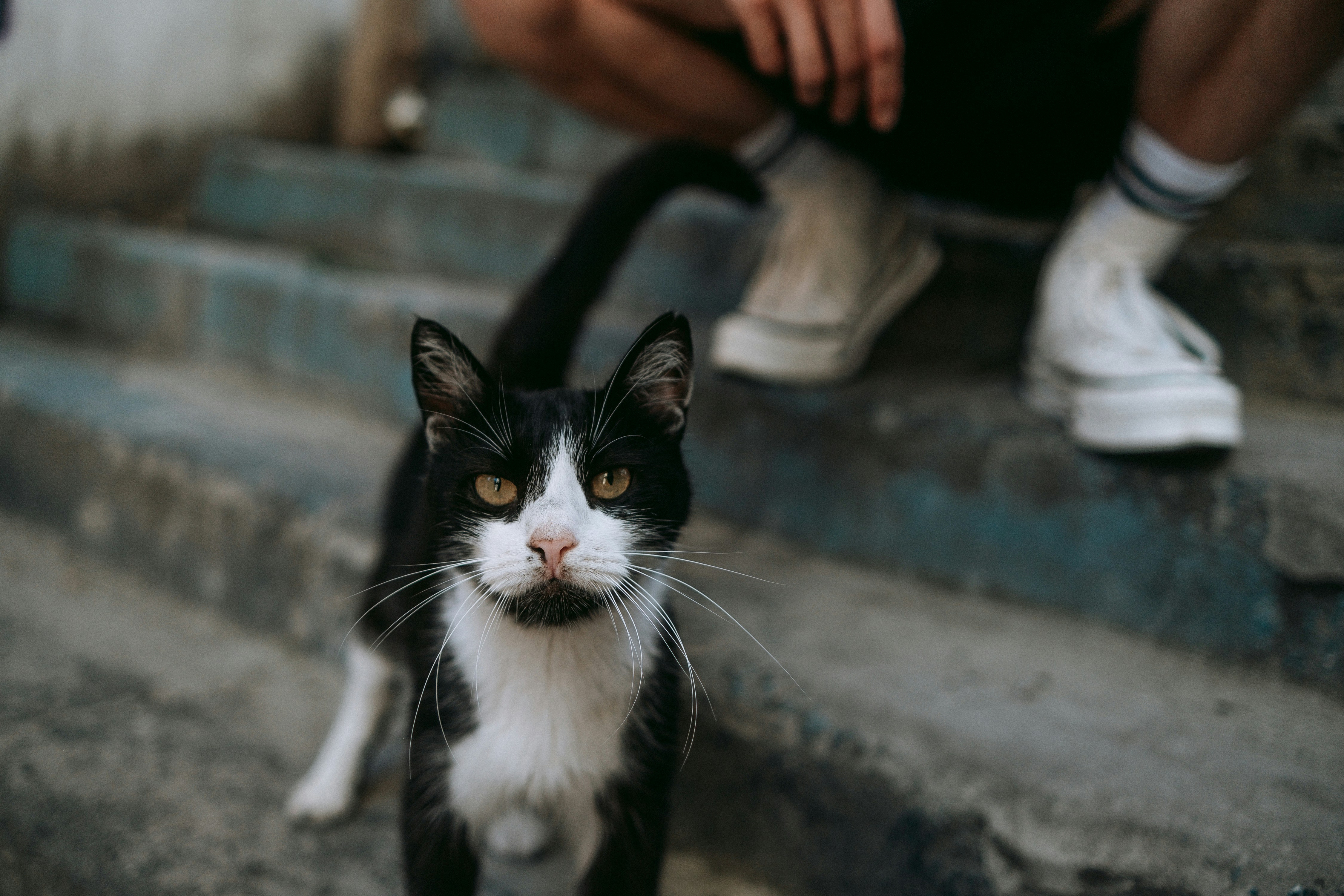 Digital Nomad Guide to Itaituba, Brazil (2026)