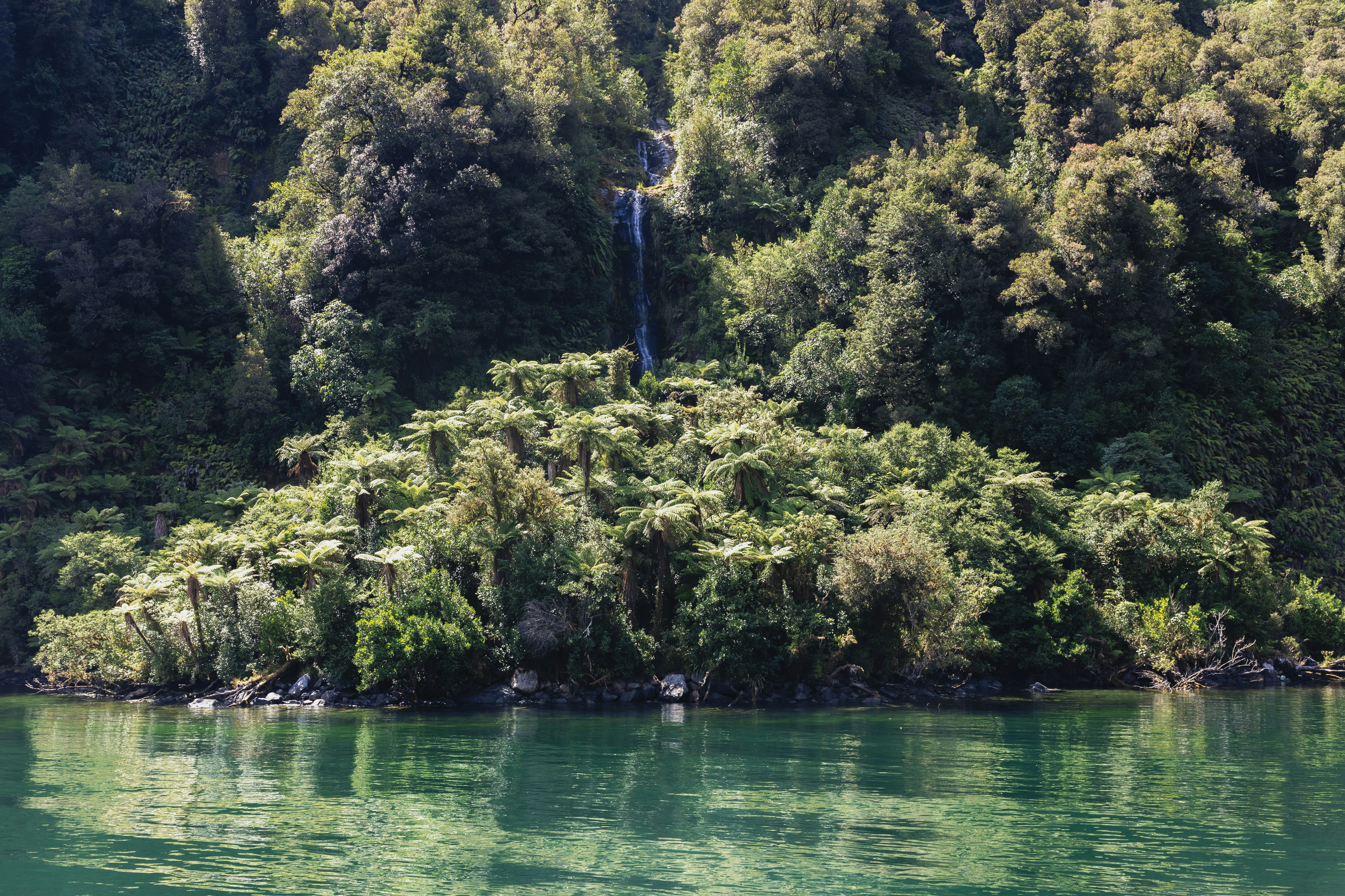 Una cascada cae en cascada por una exuberante ladera verde.