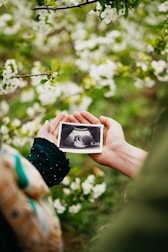 Couple holding ultrasound image, revealing pregnancy.