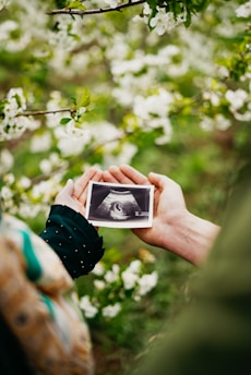 Couple holding ultrasound image, revealing pregnancy.