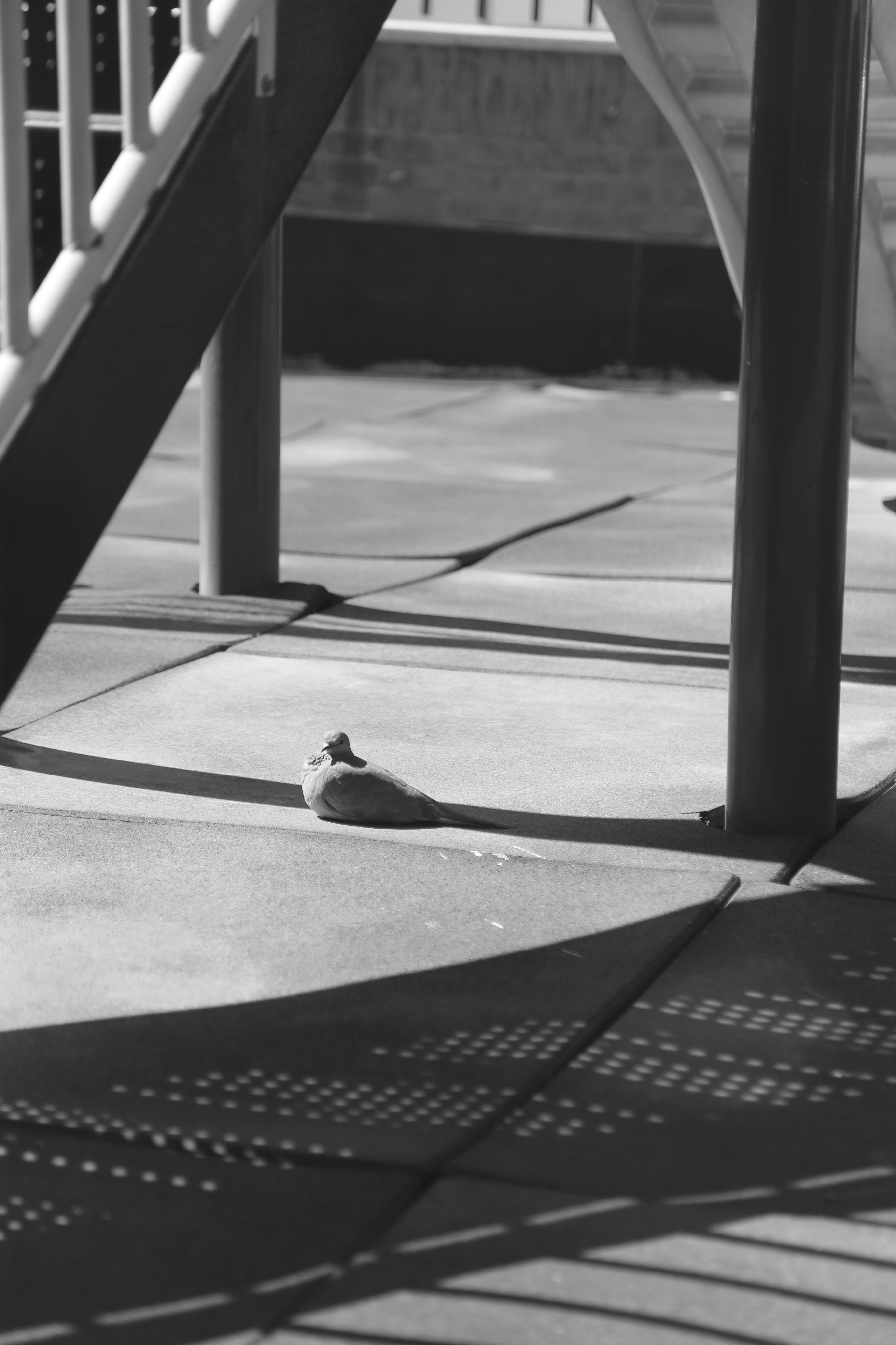 Photo by fatemehhmomtazz