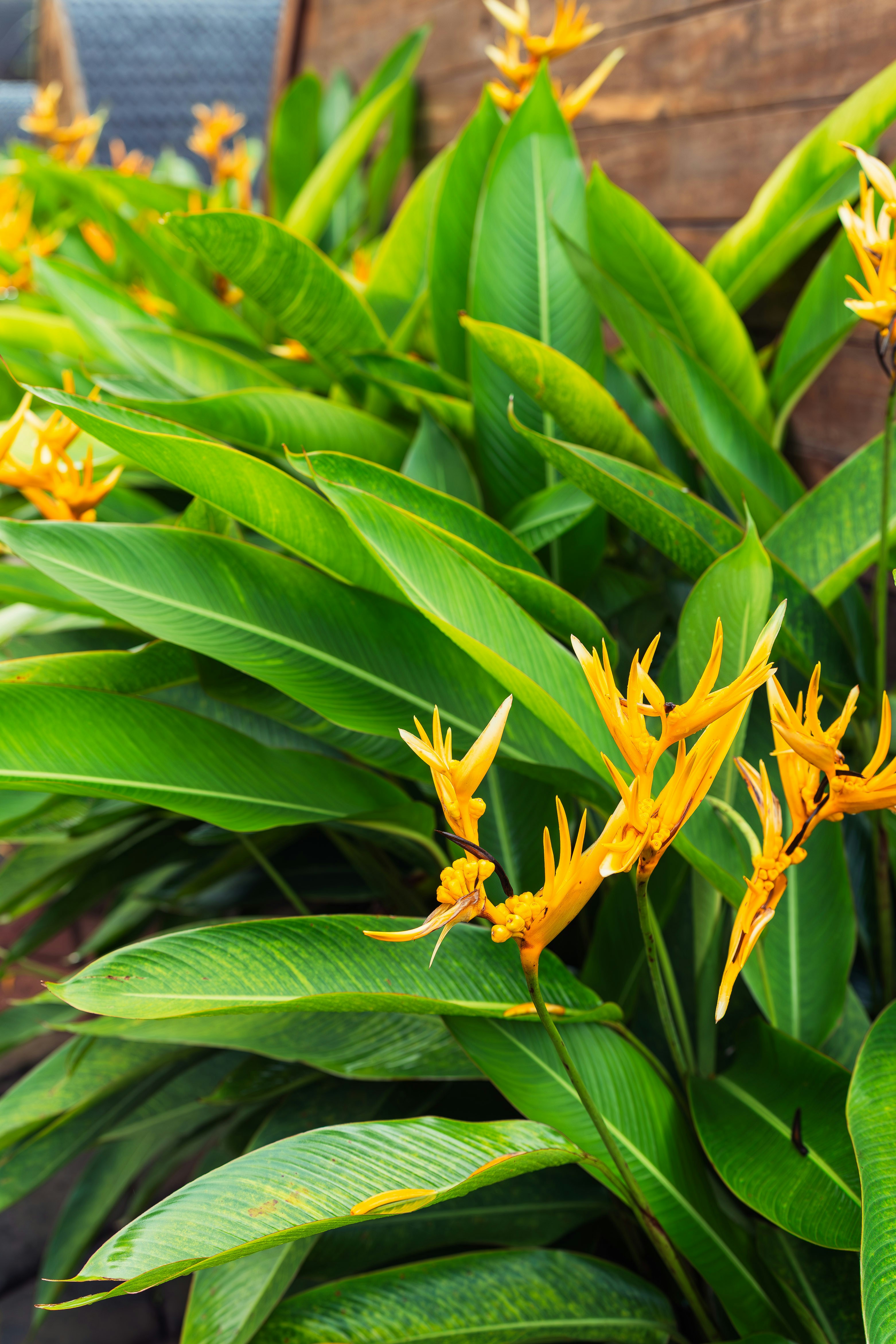 Photo by lumeval_studio