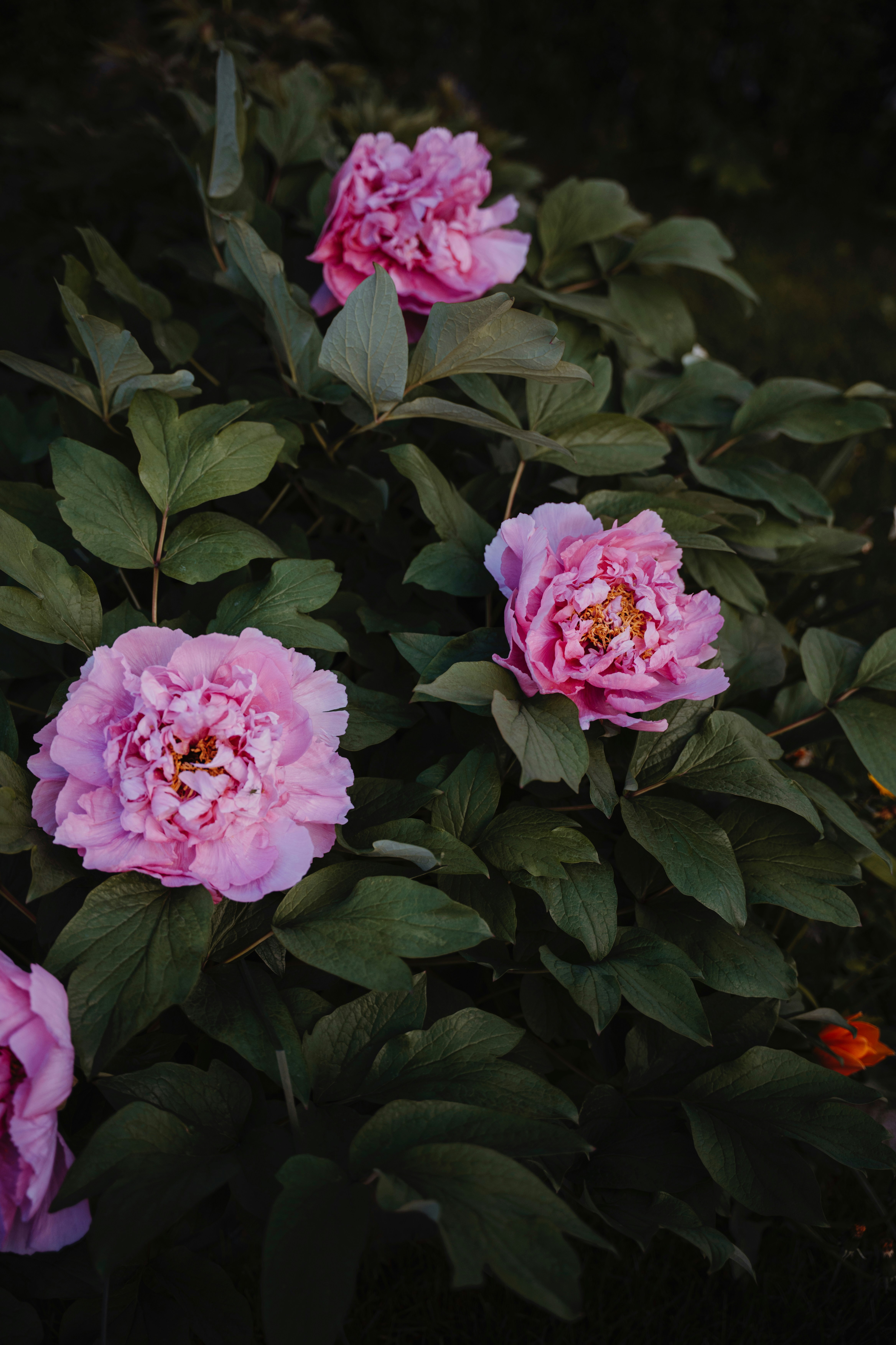 Photo by marinareich