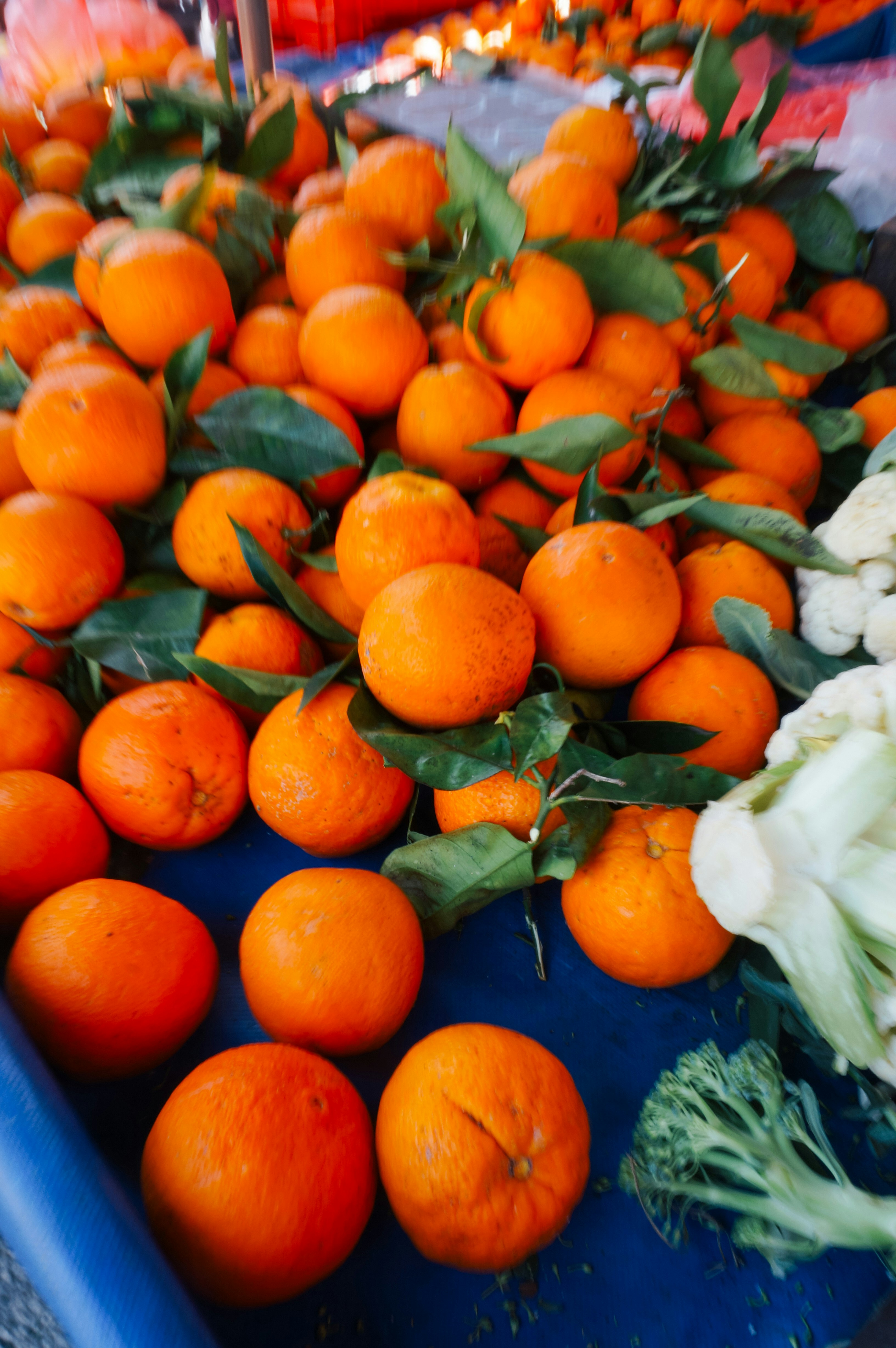 Fresh tangerines with green leaves are piled high.