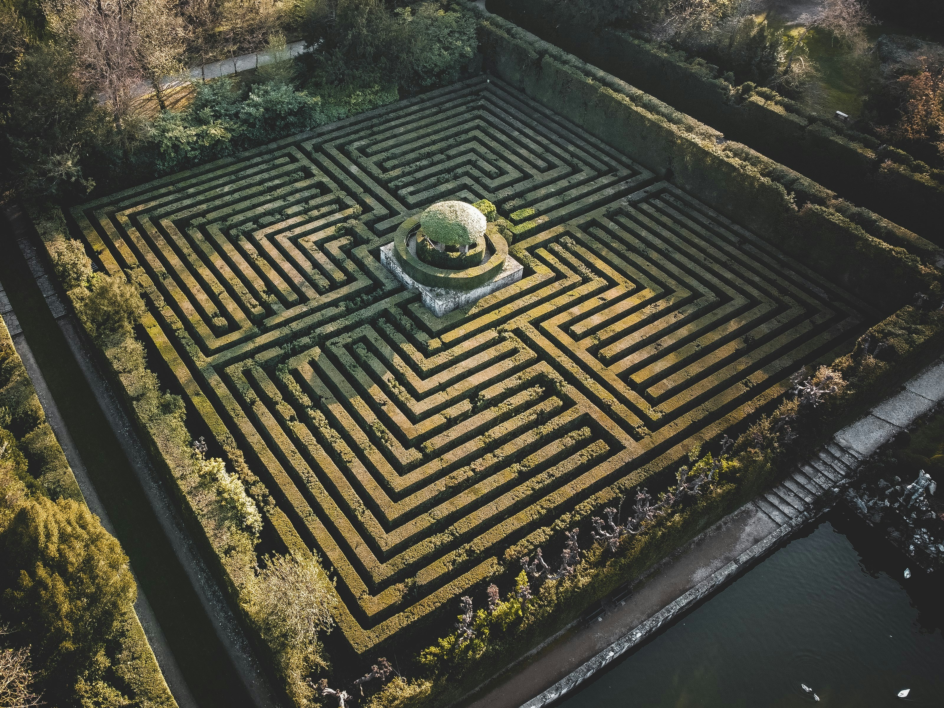 Um labirinto de sebes, representando a complexidade de navegar feeds caóticos