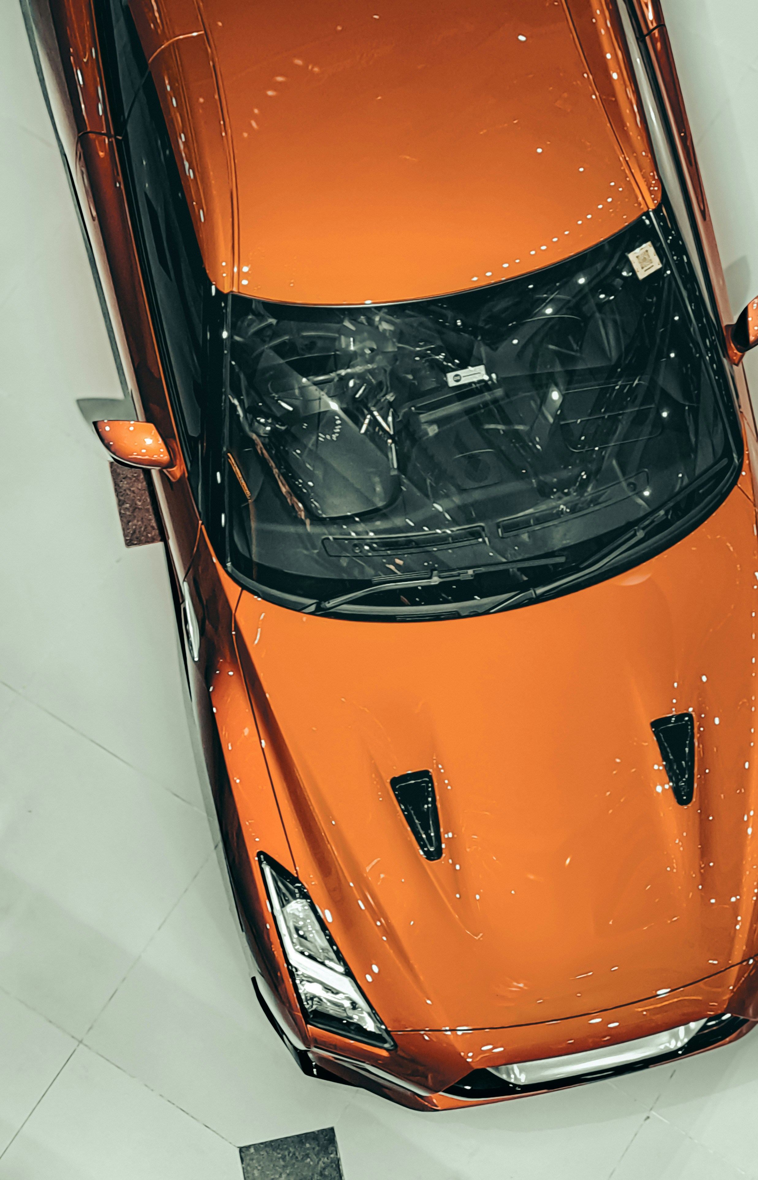 Photo by thrshutterbug_1