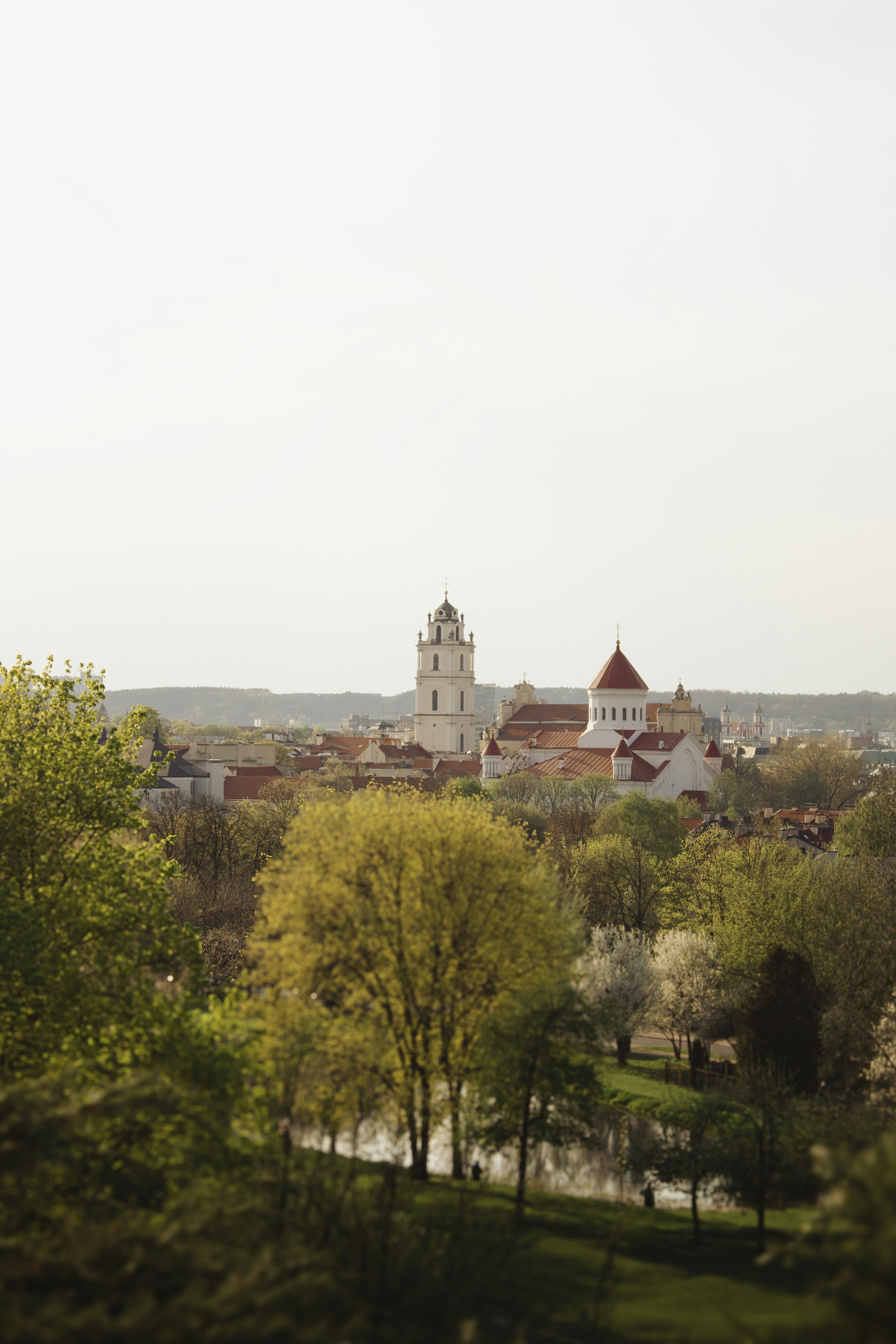 A beautiful city view with trees and churches.
