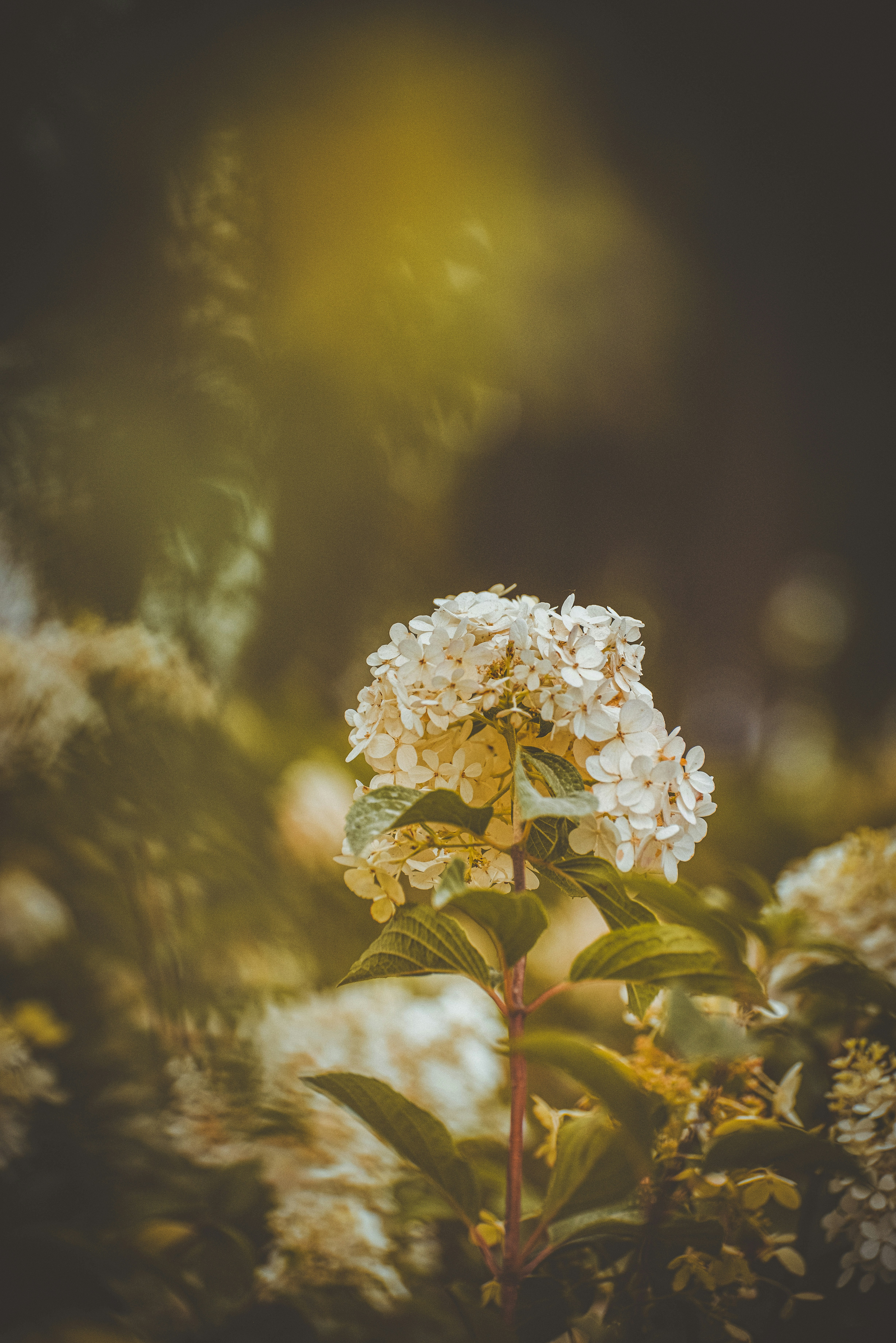 Photo by juli_kuzmina