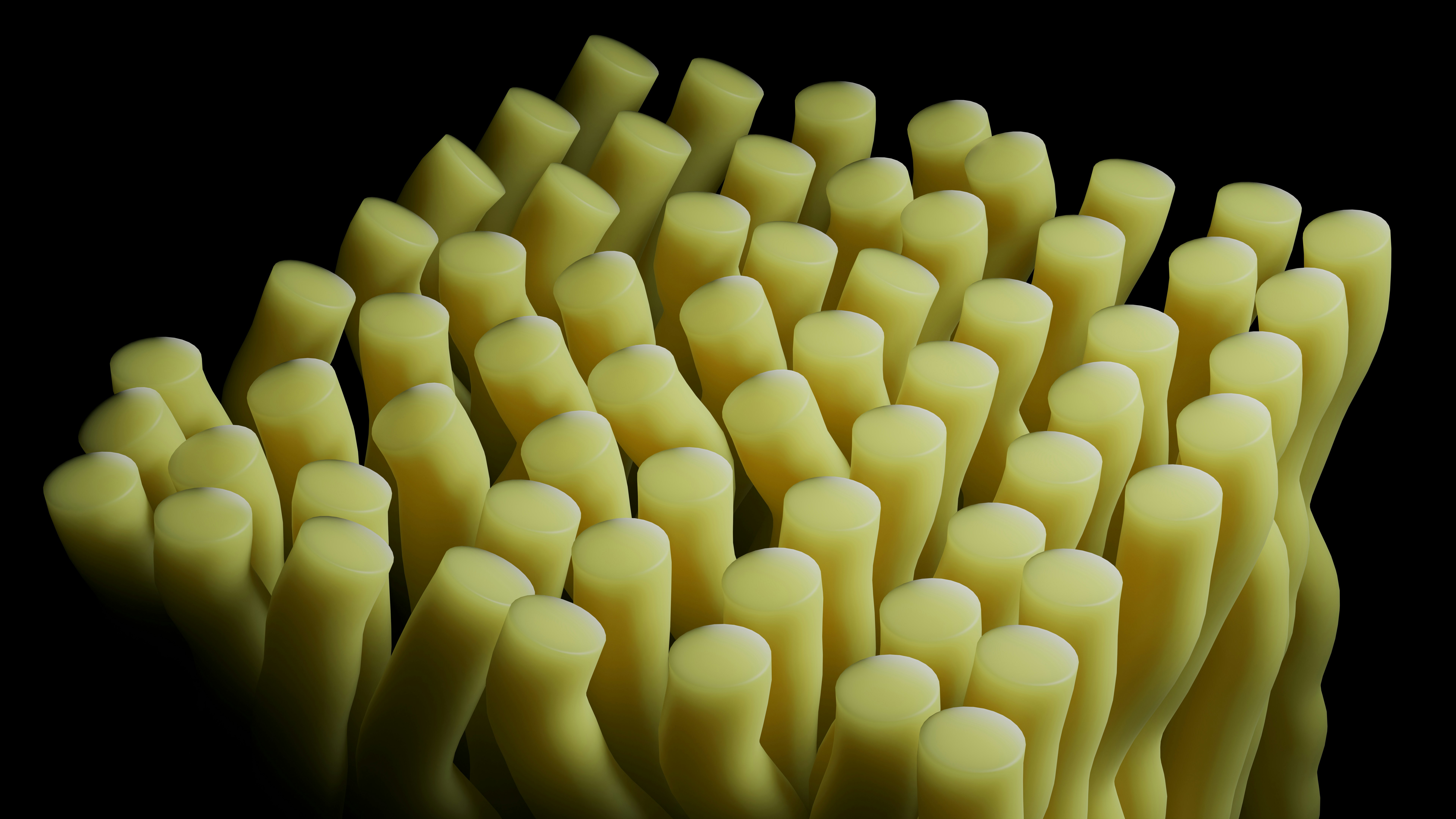 Pale, cylindrical shapes against a black background.