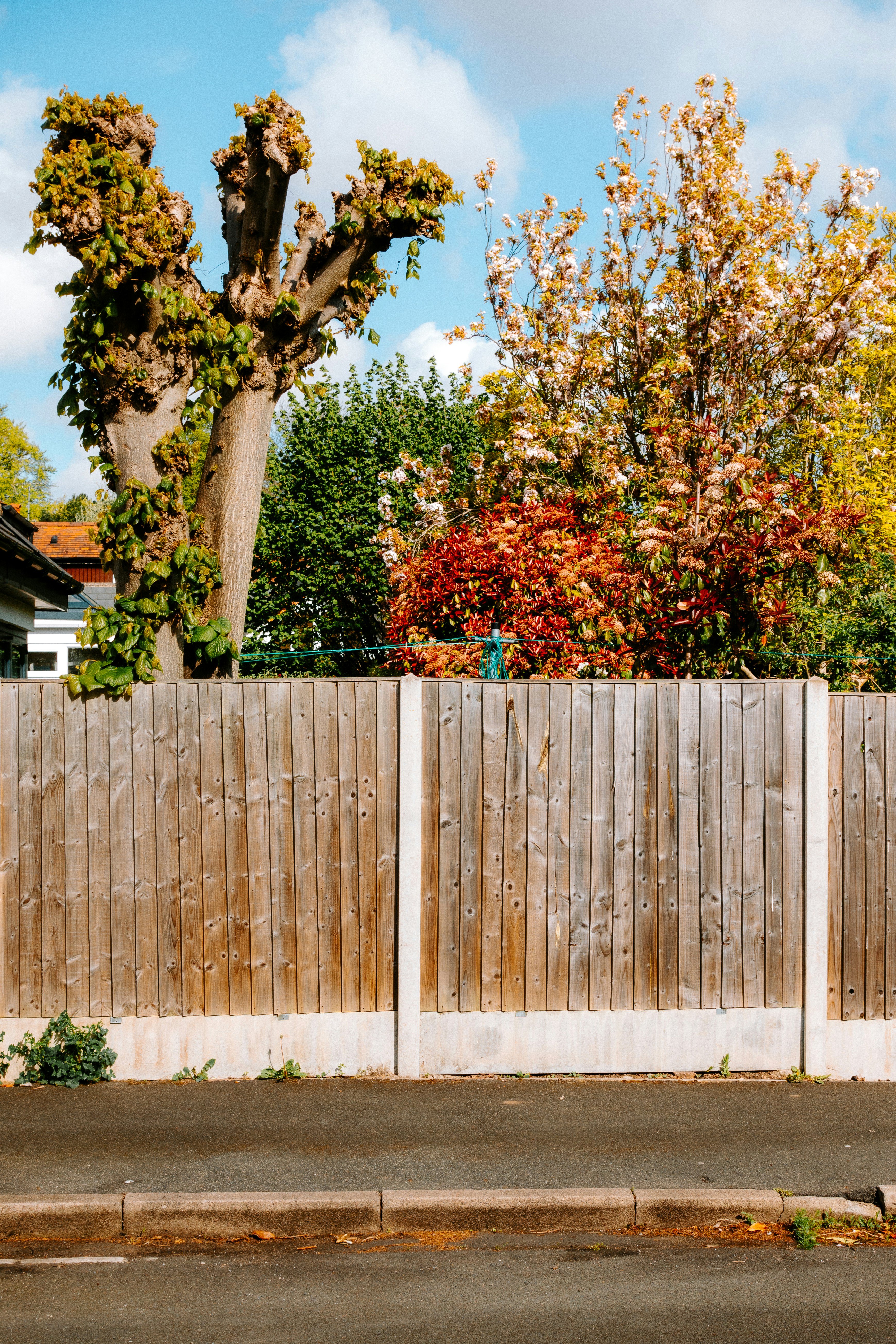 6 Expert Fence Care Maintenance Tips for Large Properties
