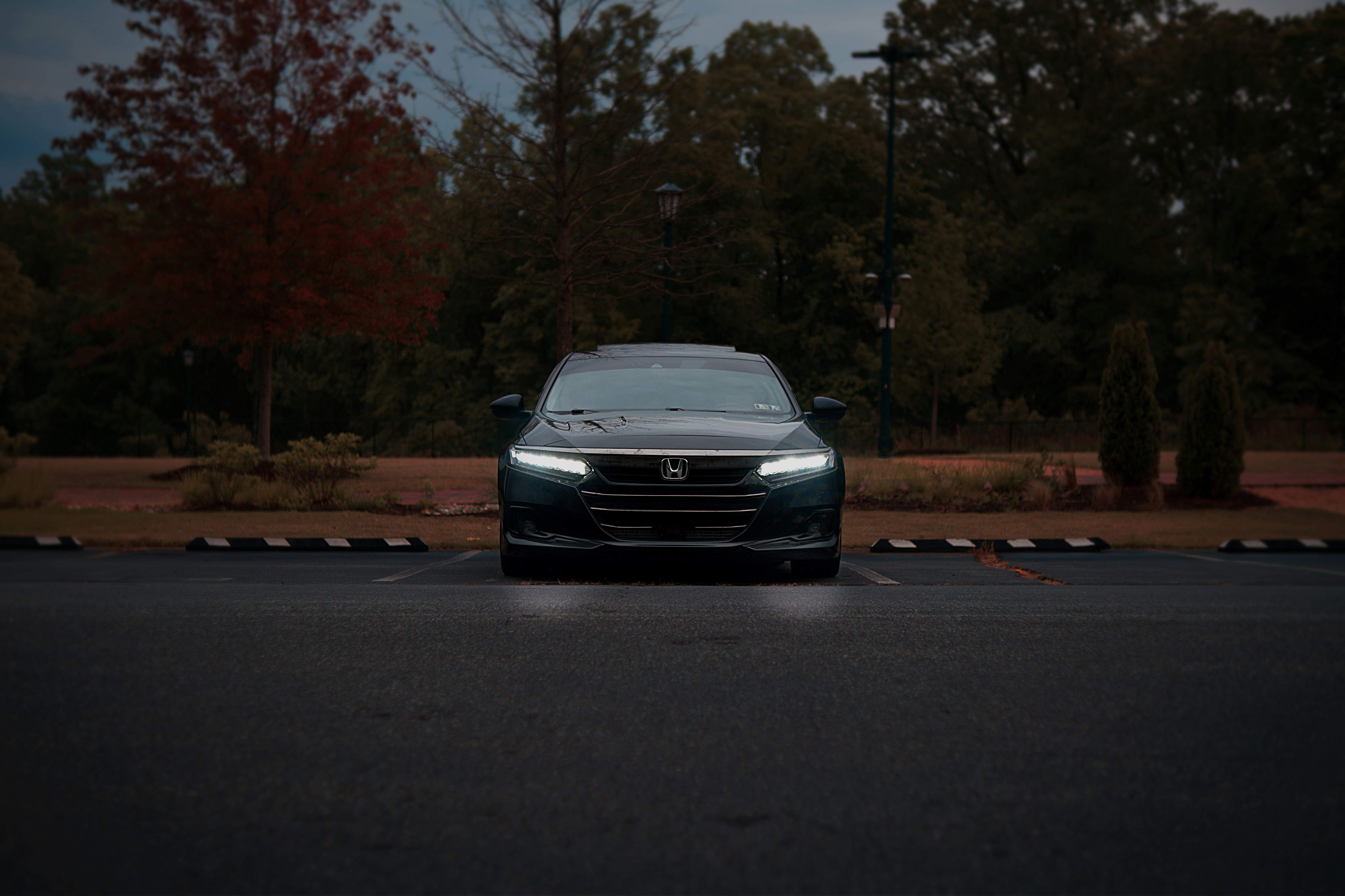 Photo by leiadakrozjhen