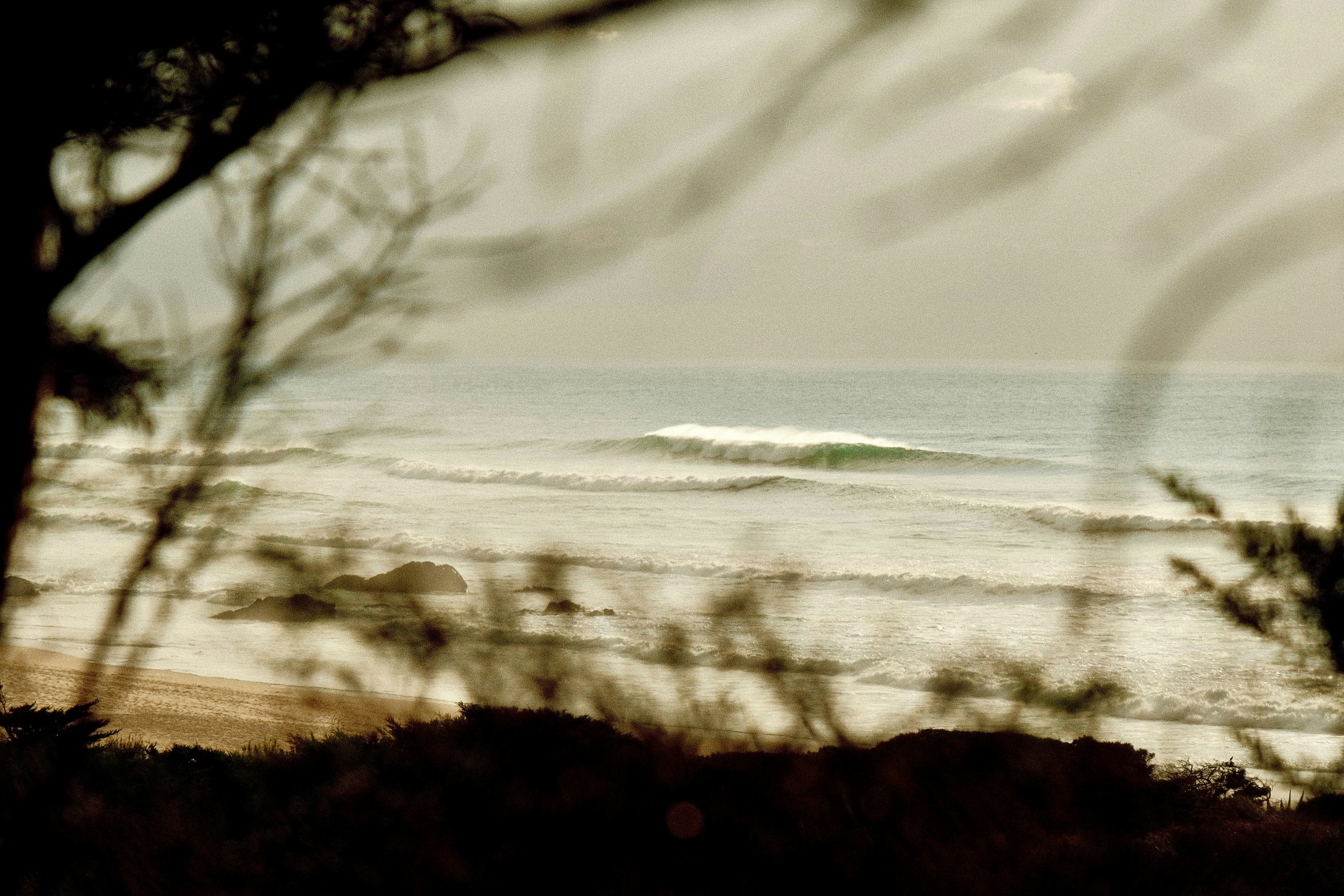 Photo by ivosouzamartins